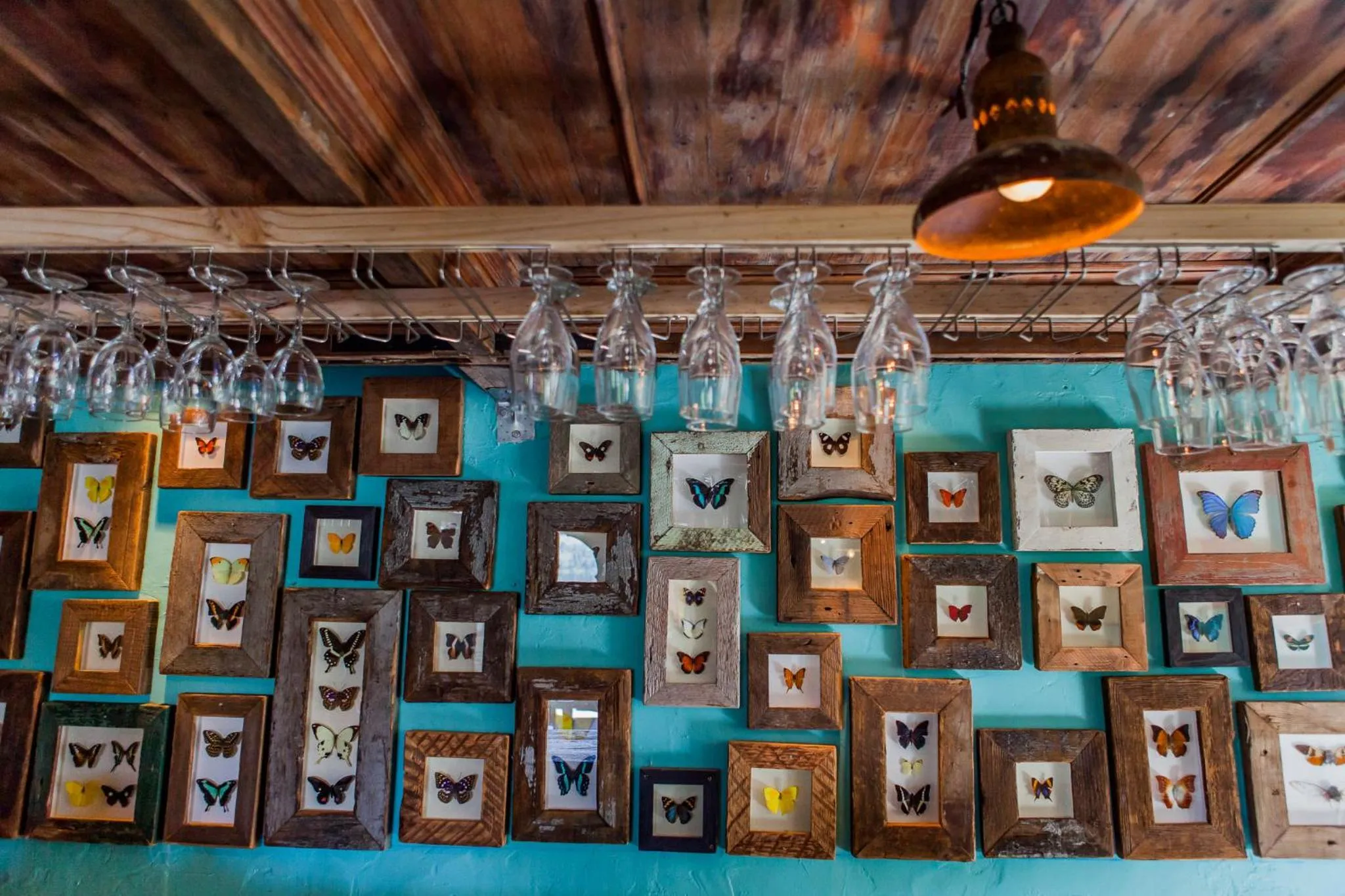 Emily Moon River Lodge