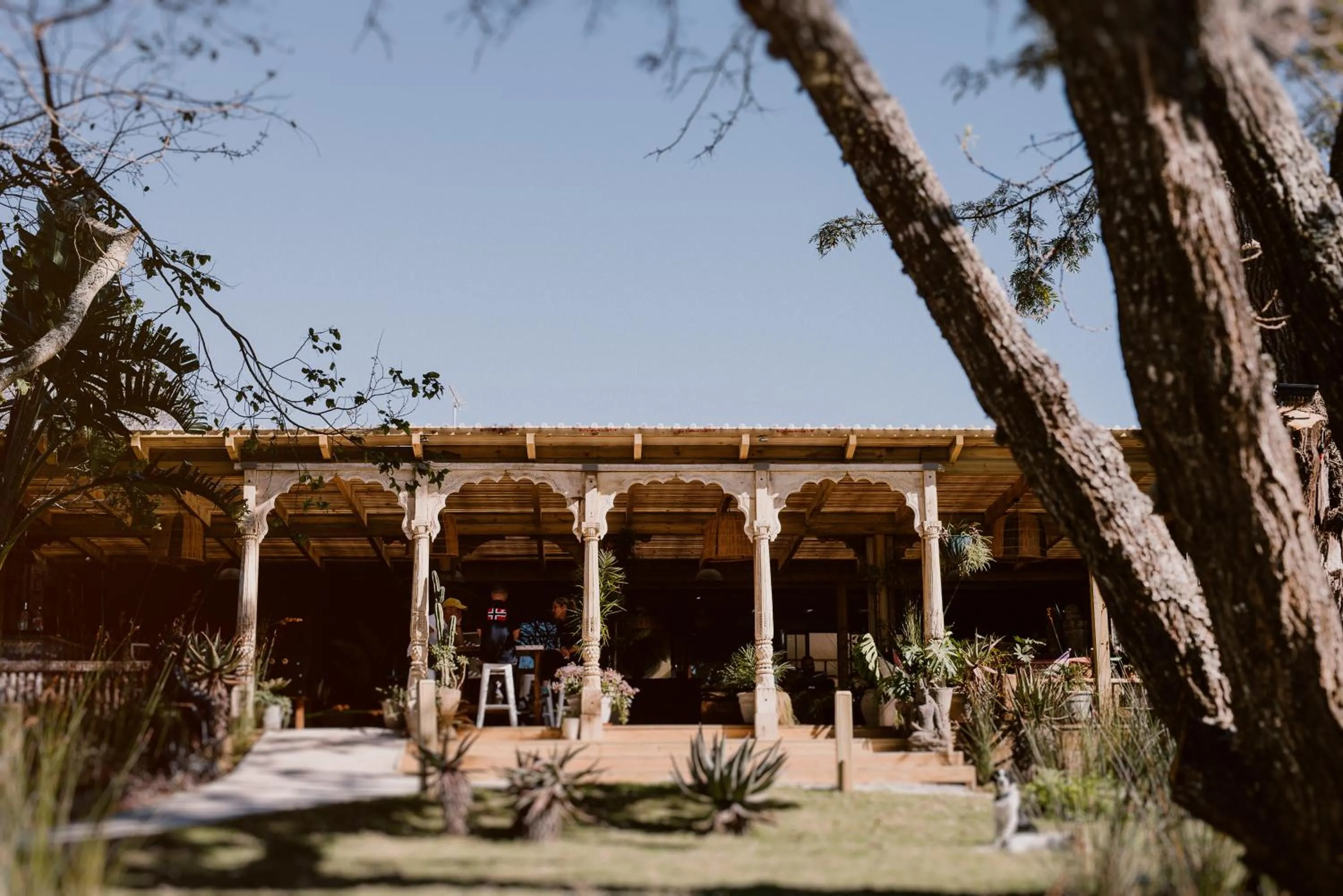 Property building in Emily Moon River Lodge