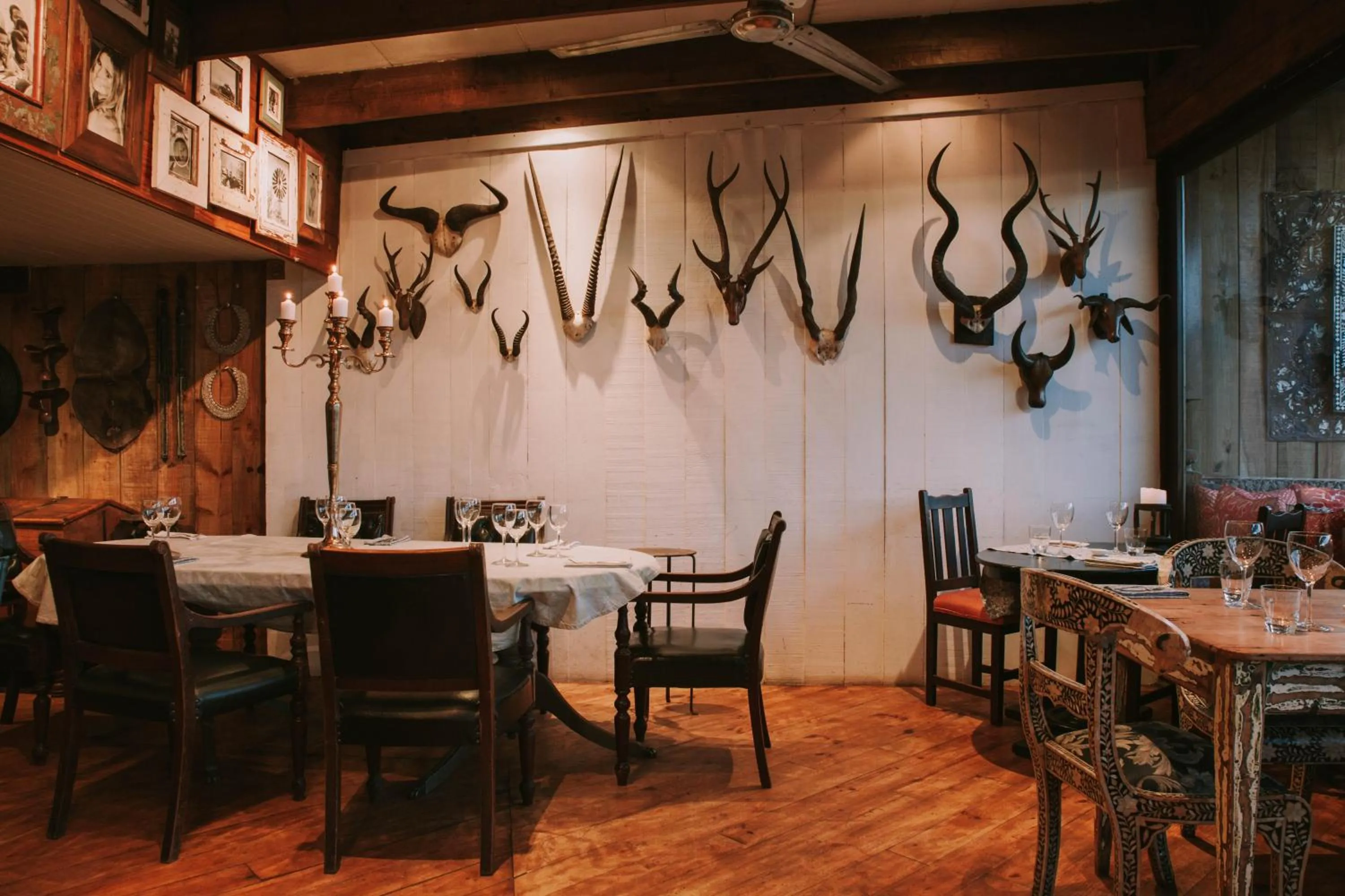 Emily Moon River Lodge