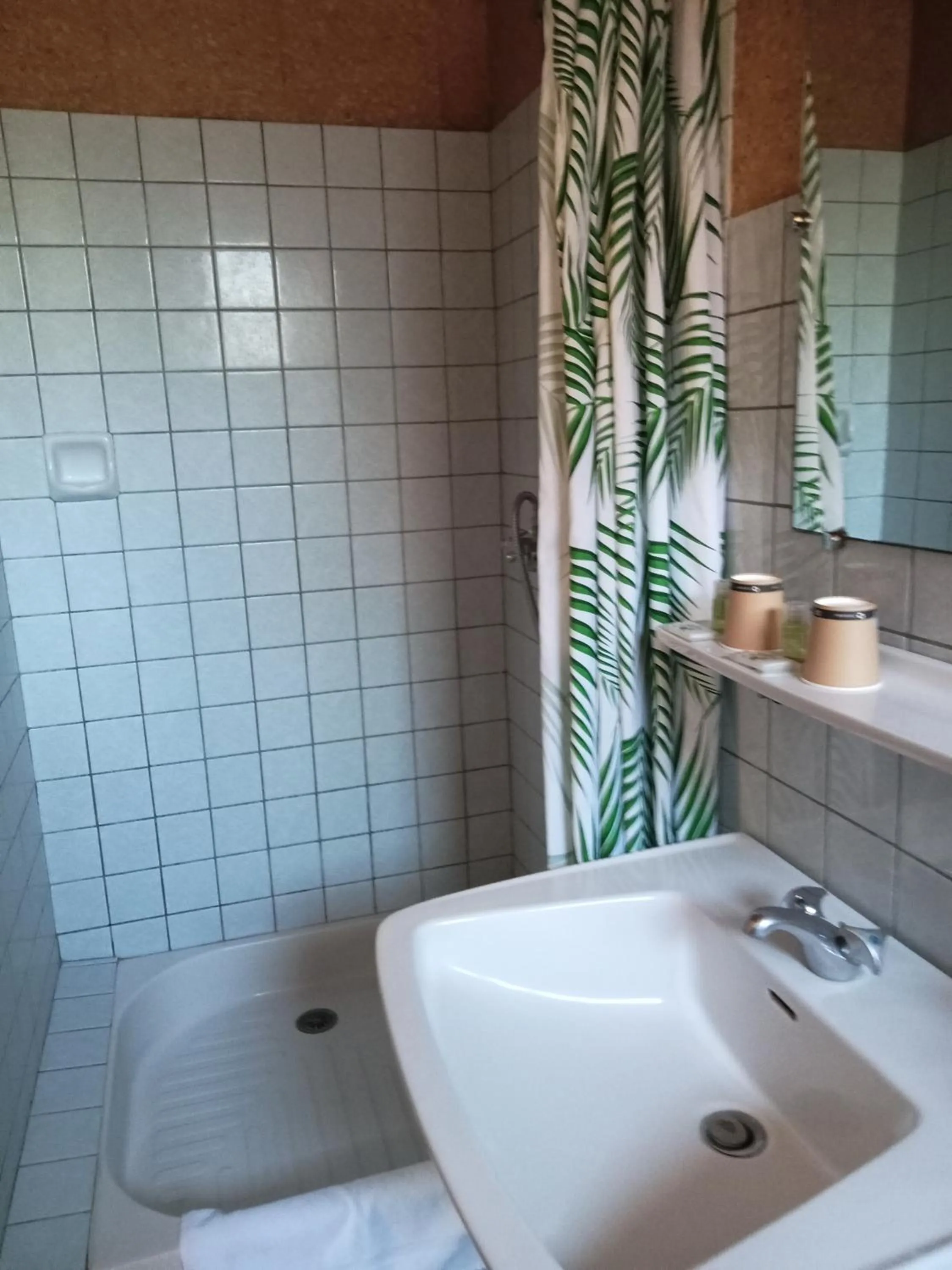 Shower in L'Auberge de Lugos