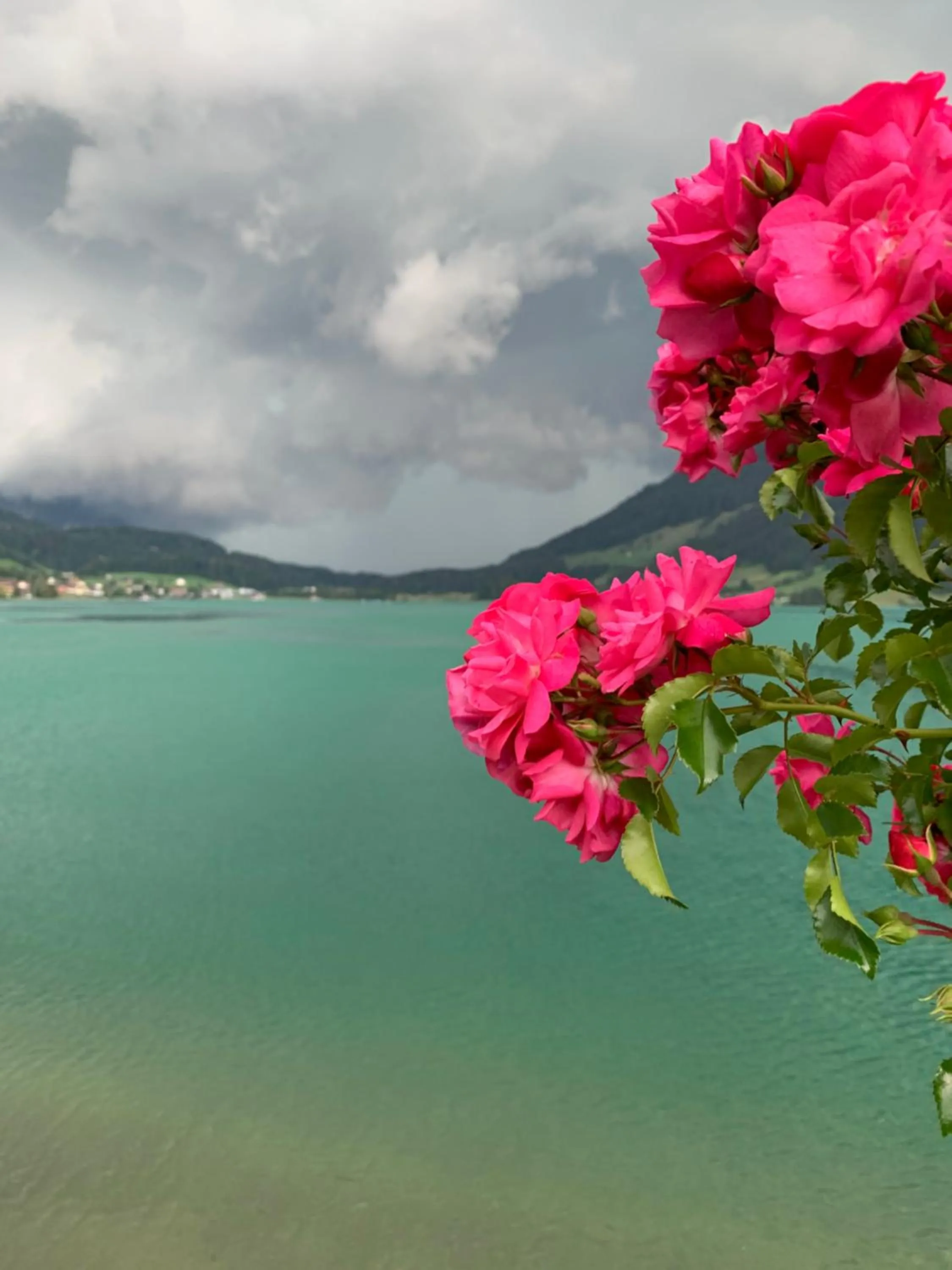 Spring in Hotel - Restaurant Eierhals am Ägerisee