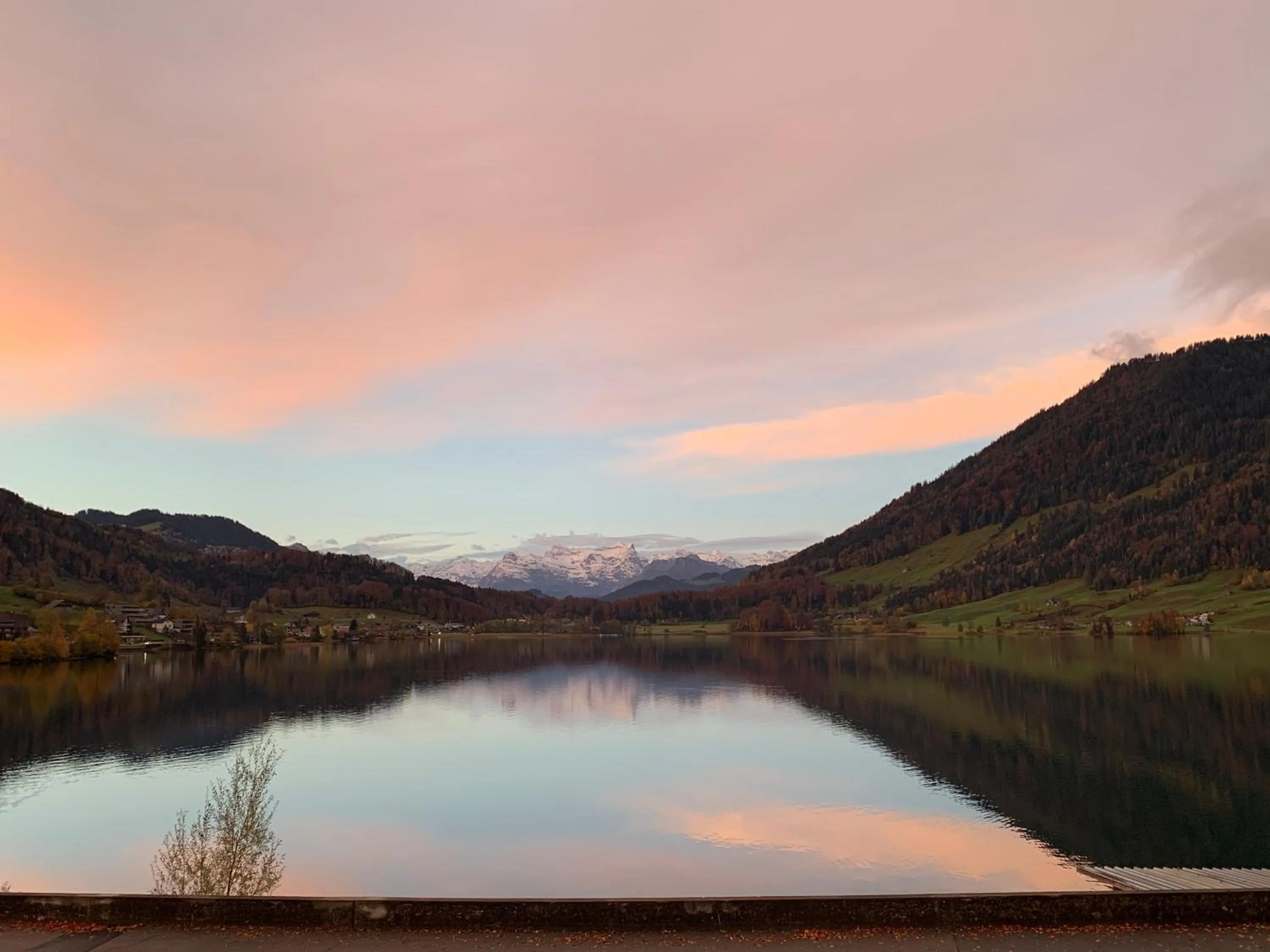 View (from property/room) in Hotel - Restaurant Eierhals am Ägerisee