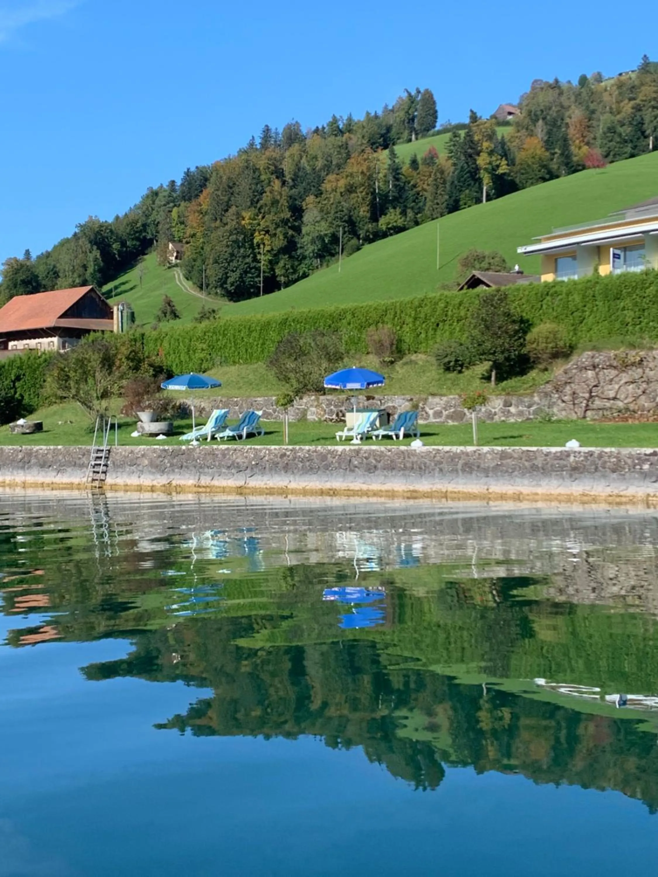 Lake view in Hotel - Restaurant Eierhals am Ägerisee