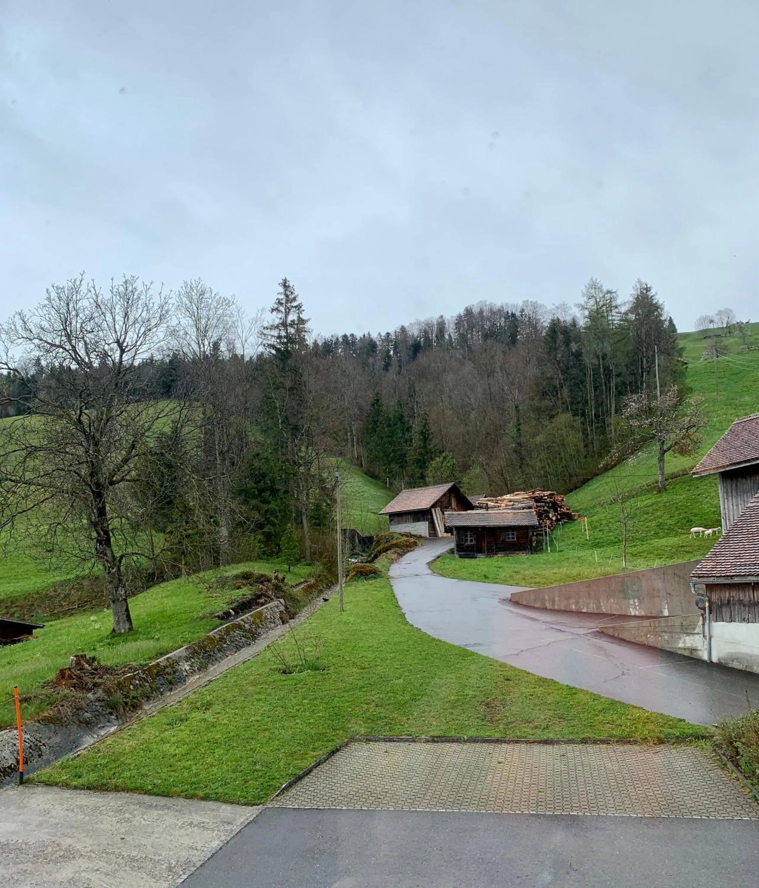 Garden view in Hotel - Restaurant Eierhals am Ägerisee