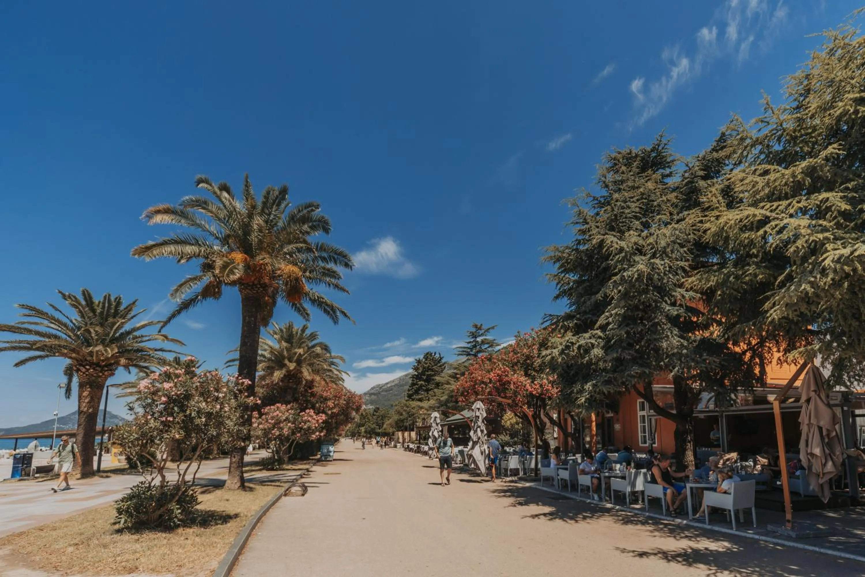 View (from property/room) in Le Petit Chateau