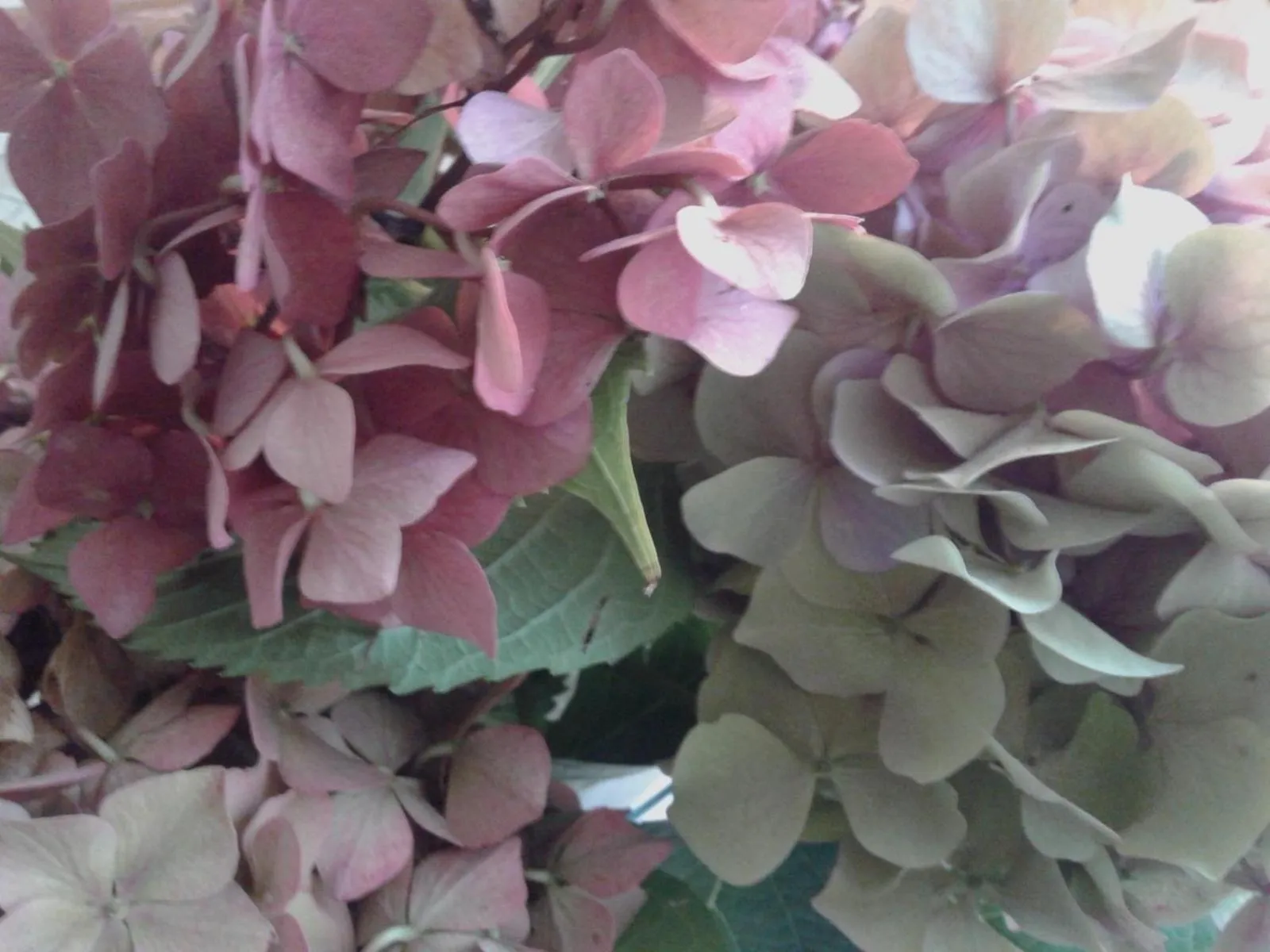 Other in Balneum Boutique Hotel & B&B