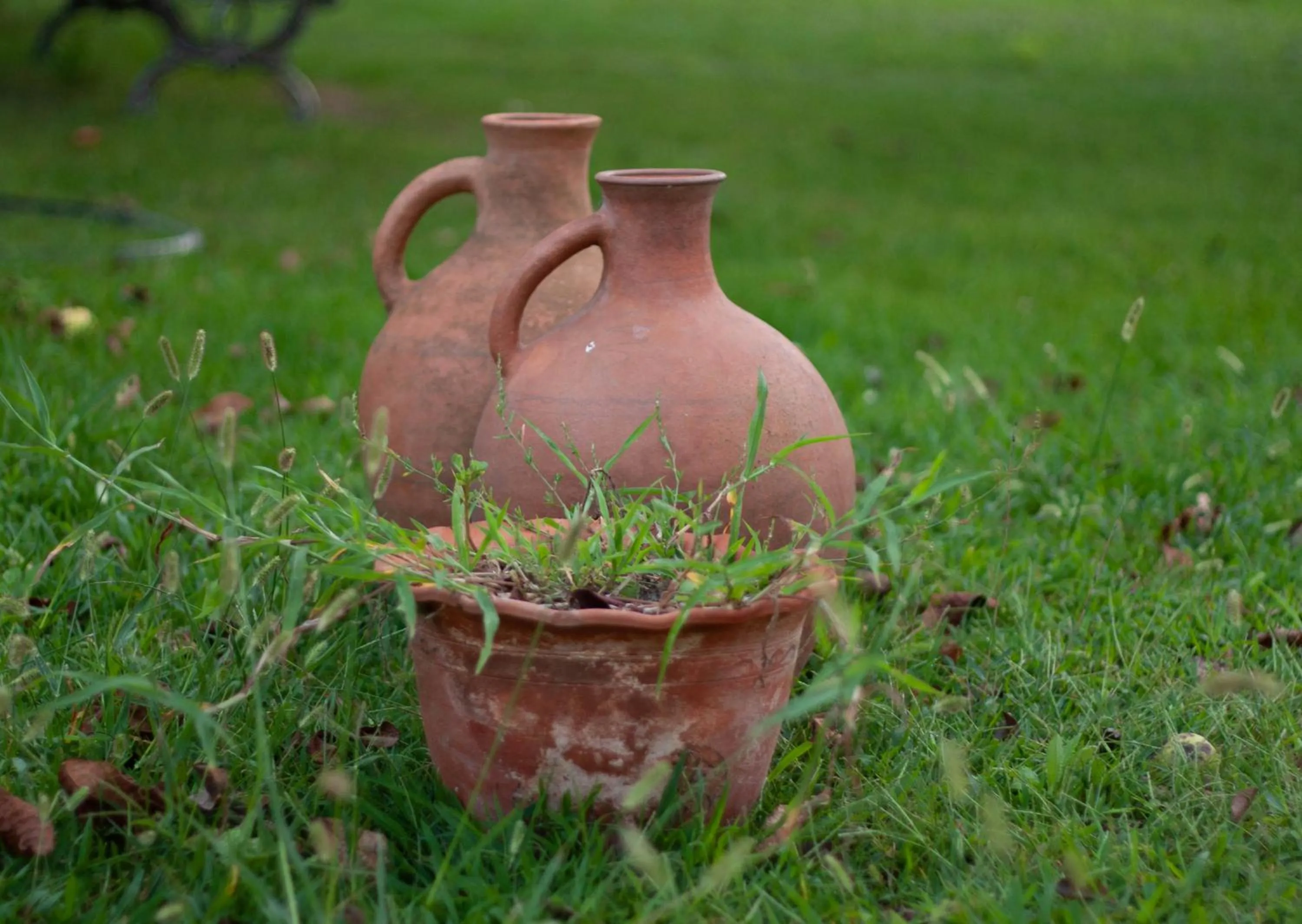 Garden in Ethno Sazano Hotel