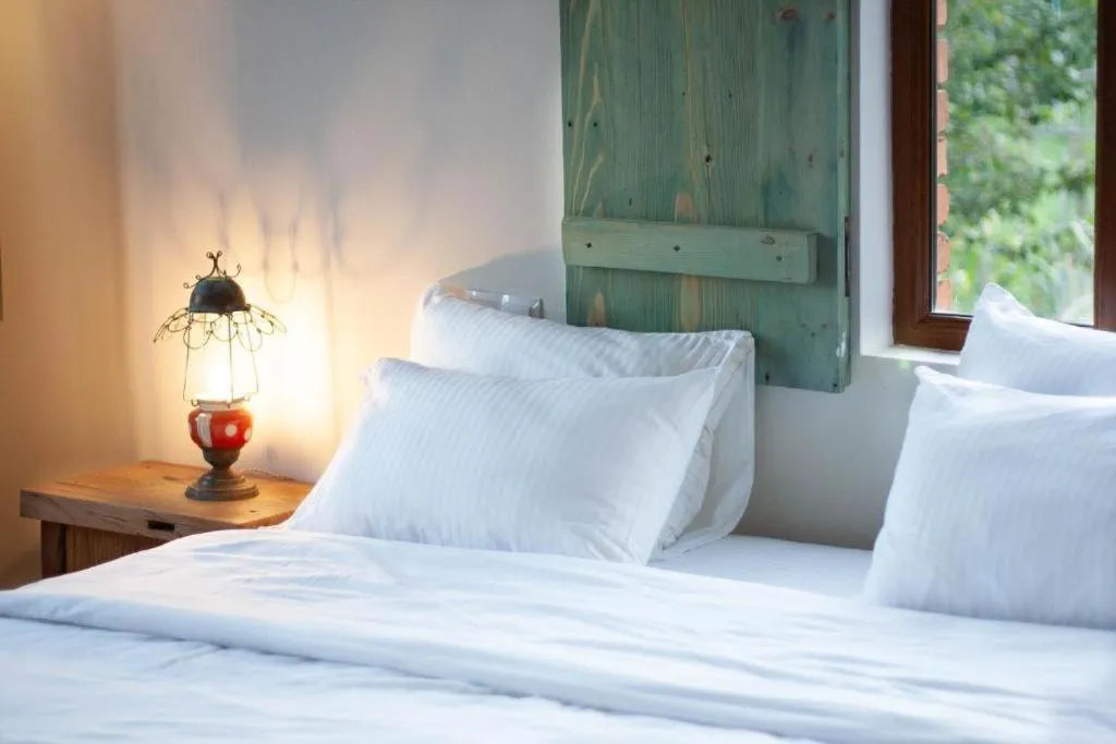 Budget Double Room in Ethno Sazano Hotel