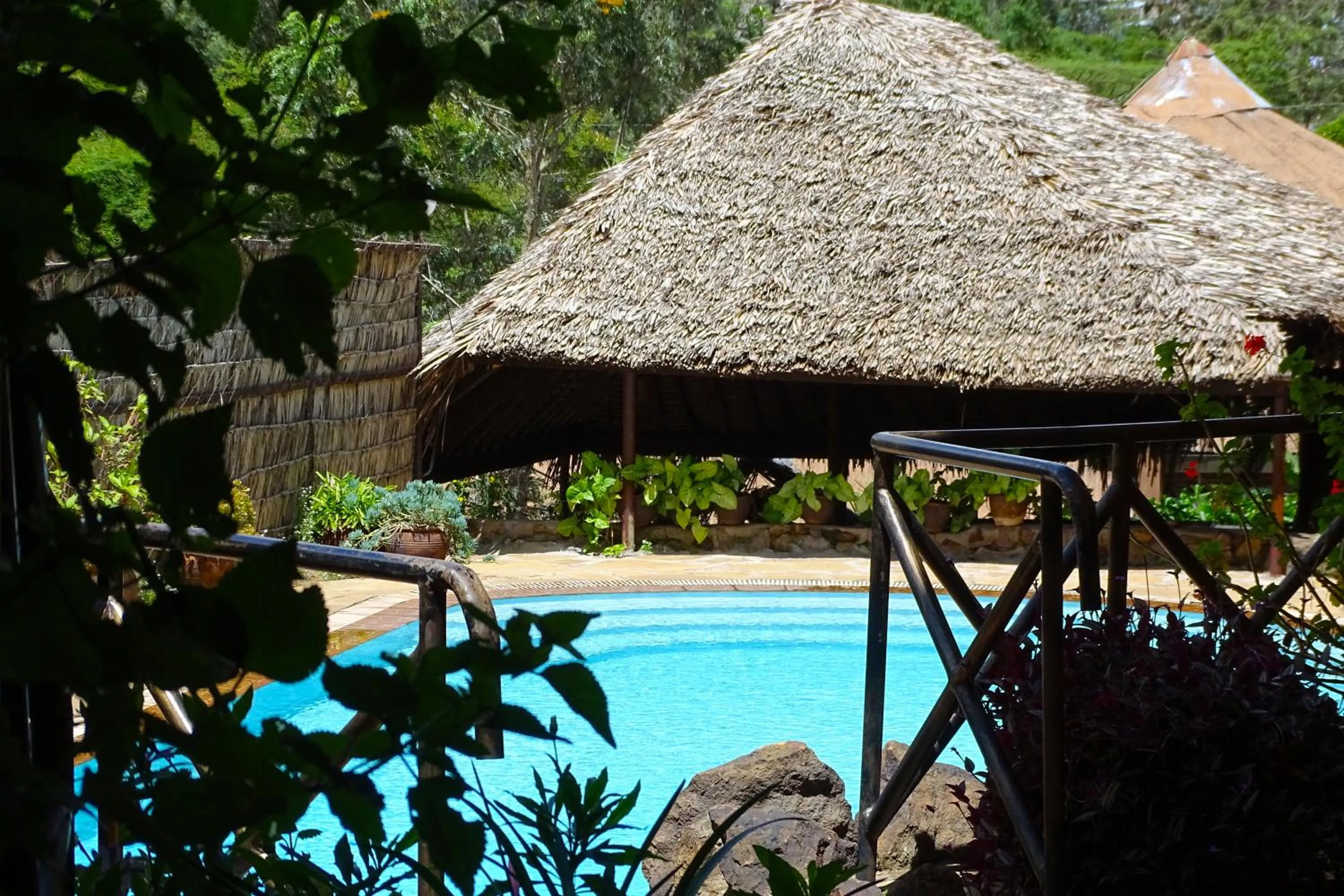 Swimming pool in Osoita Lodge