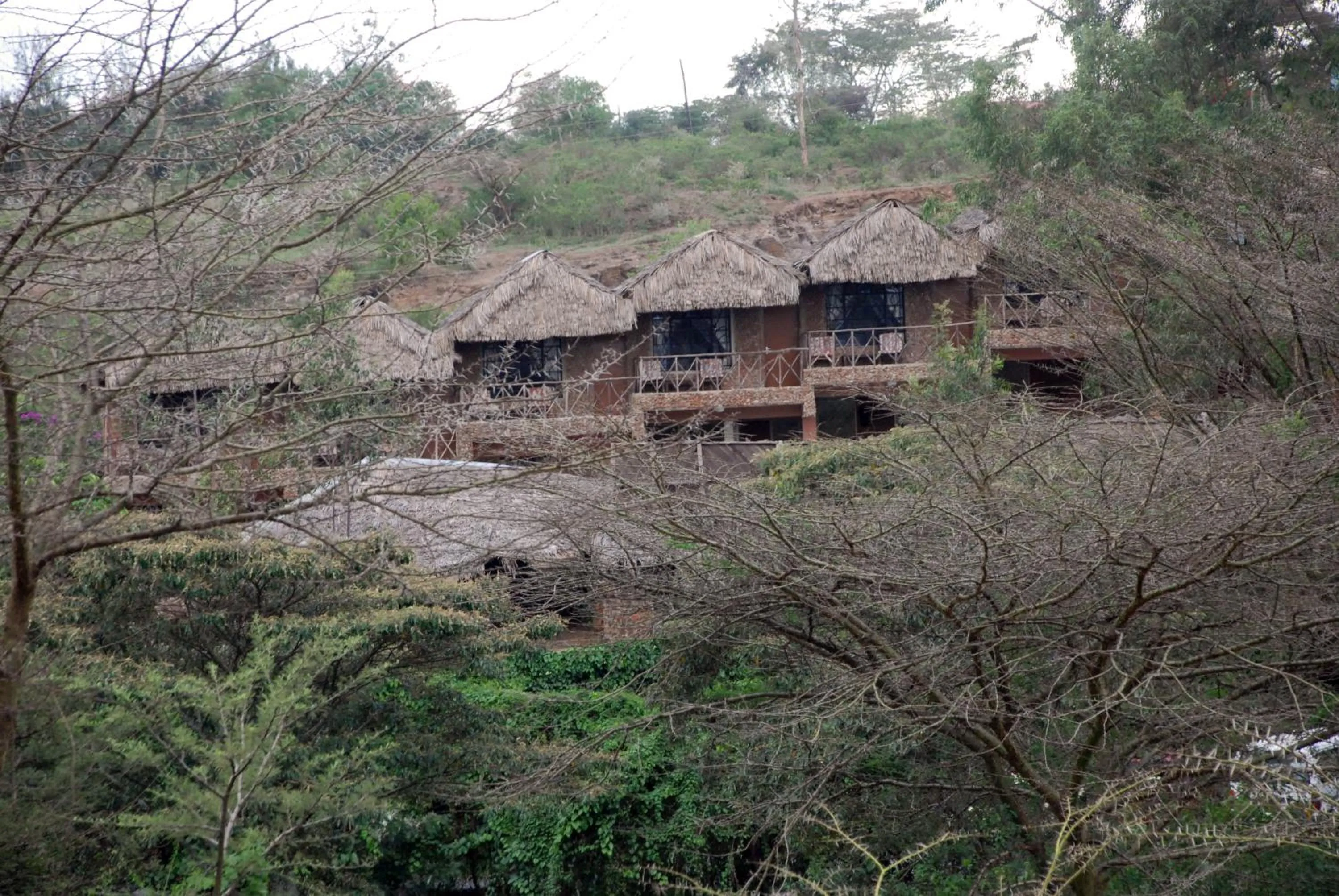 Area and facilities in Osoita Lodge