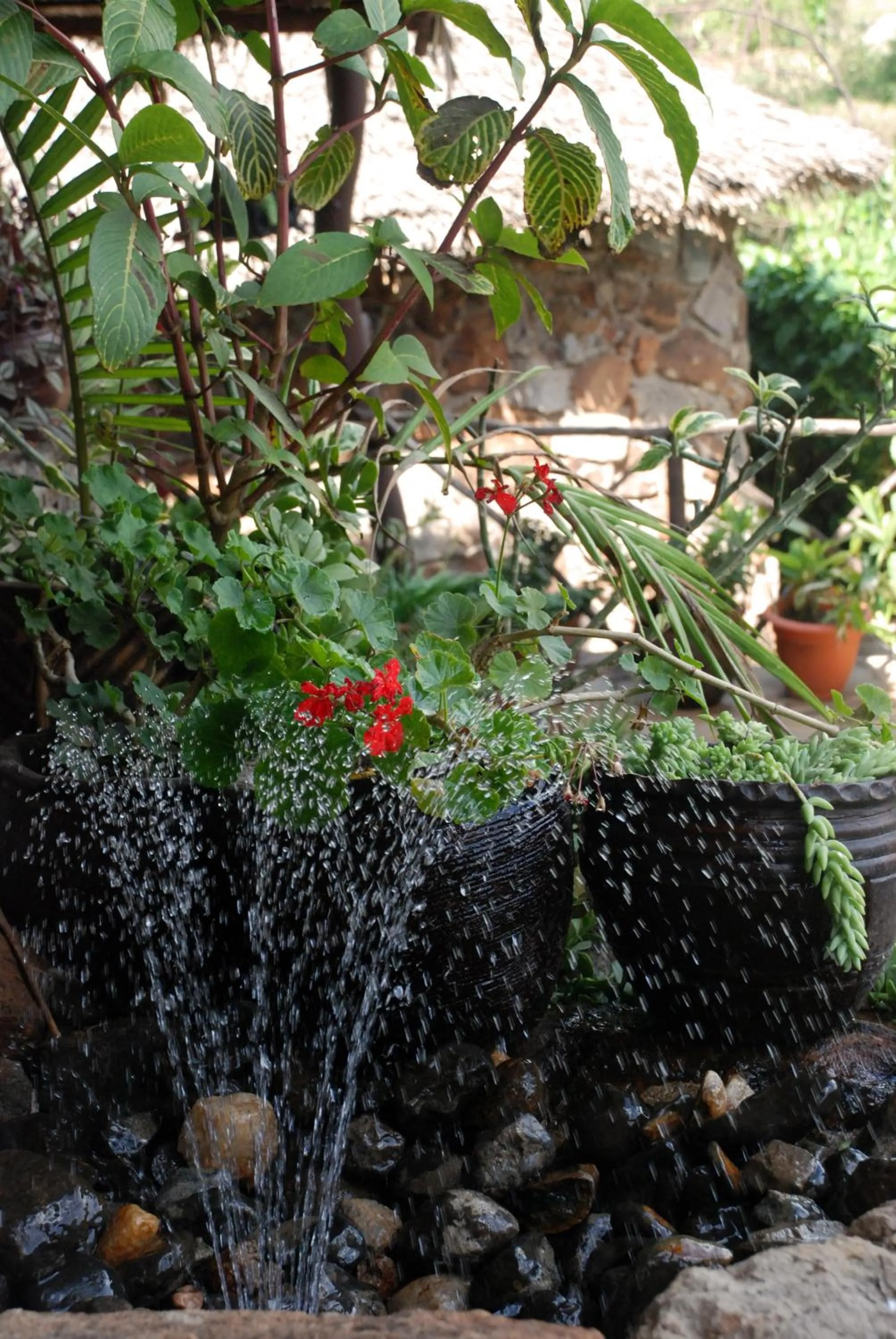 Other in Osoita Lodge