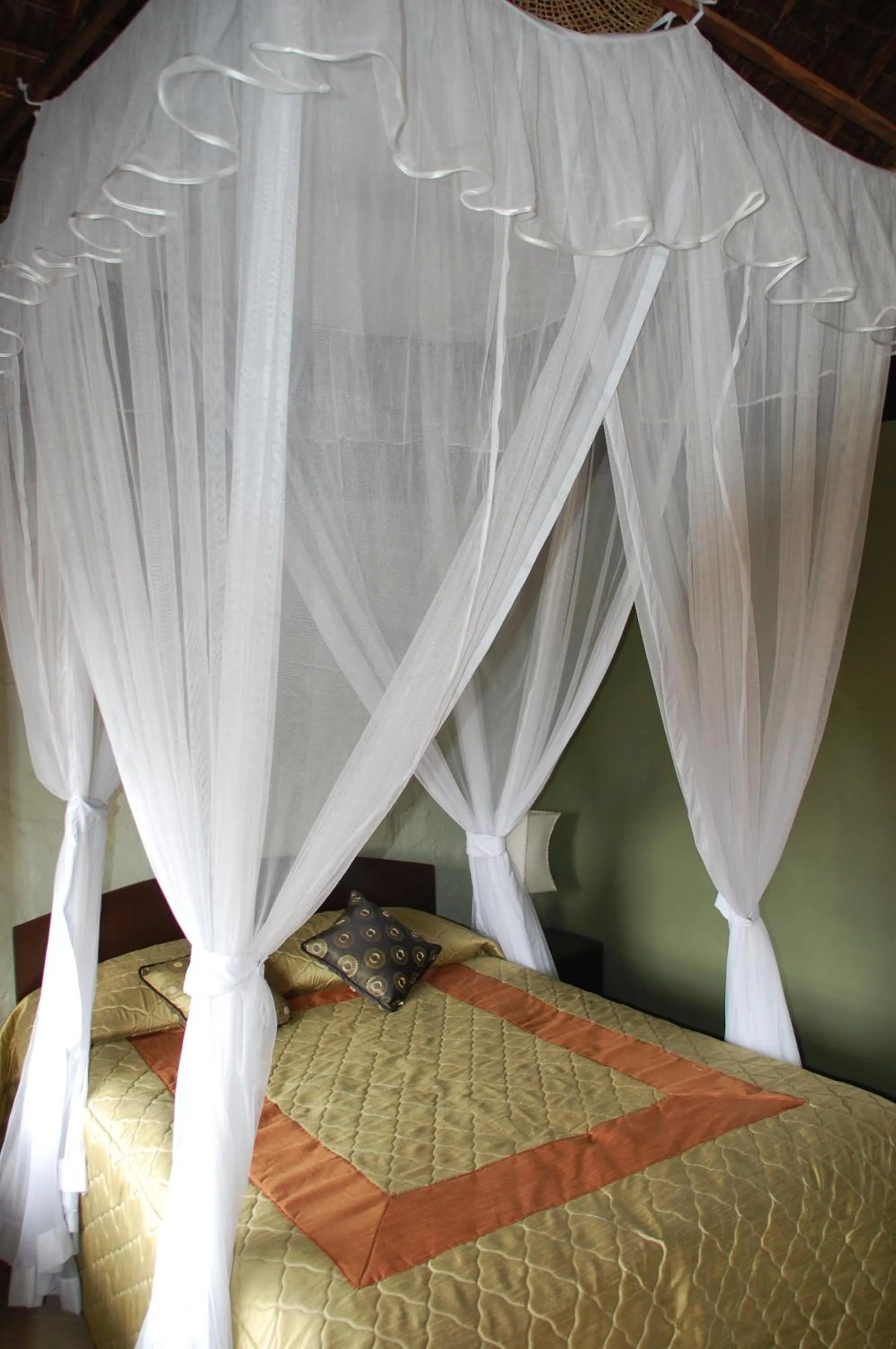 Pool view in Osoita Lodge