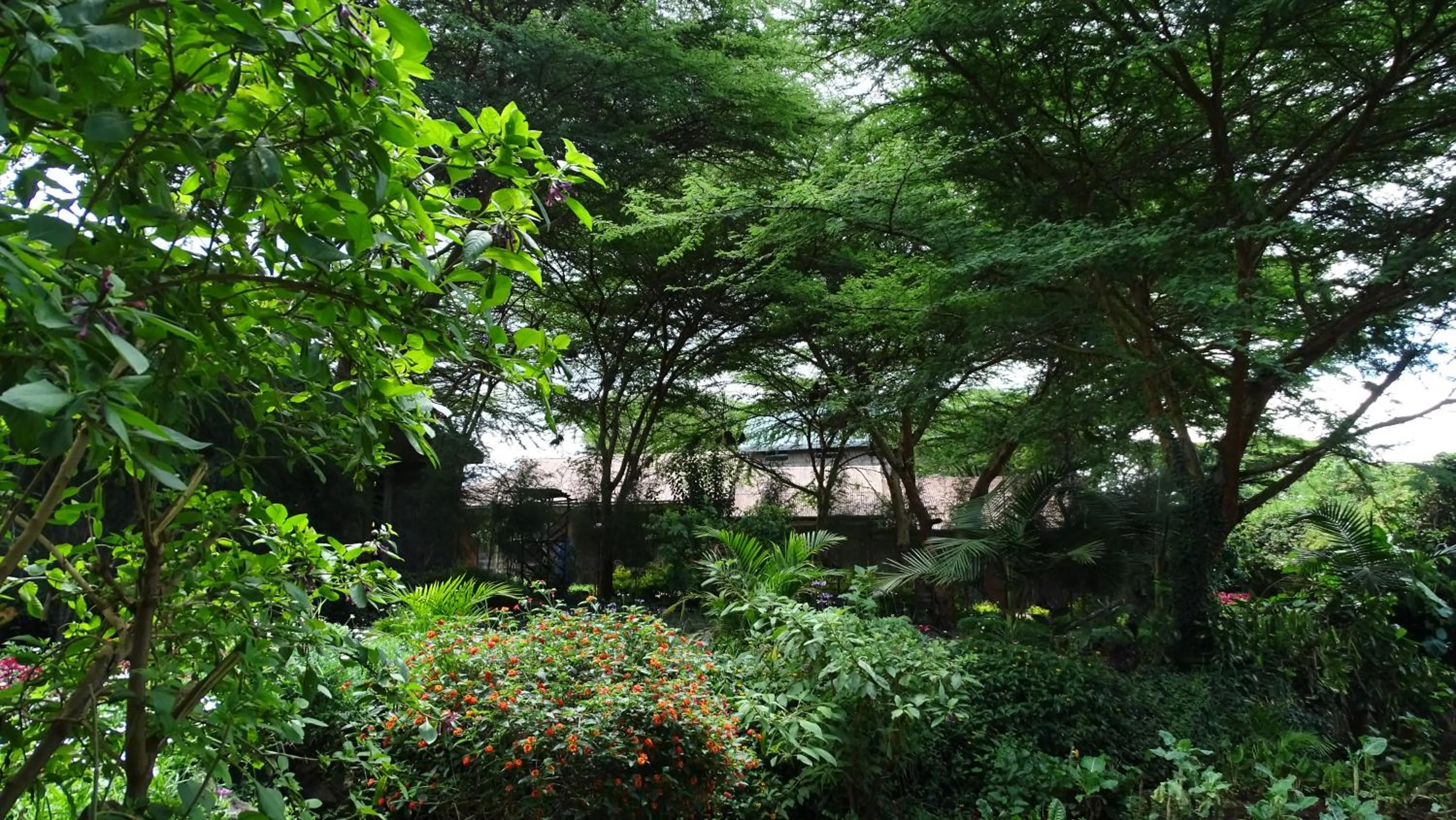 Garden in Osoita Lodge