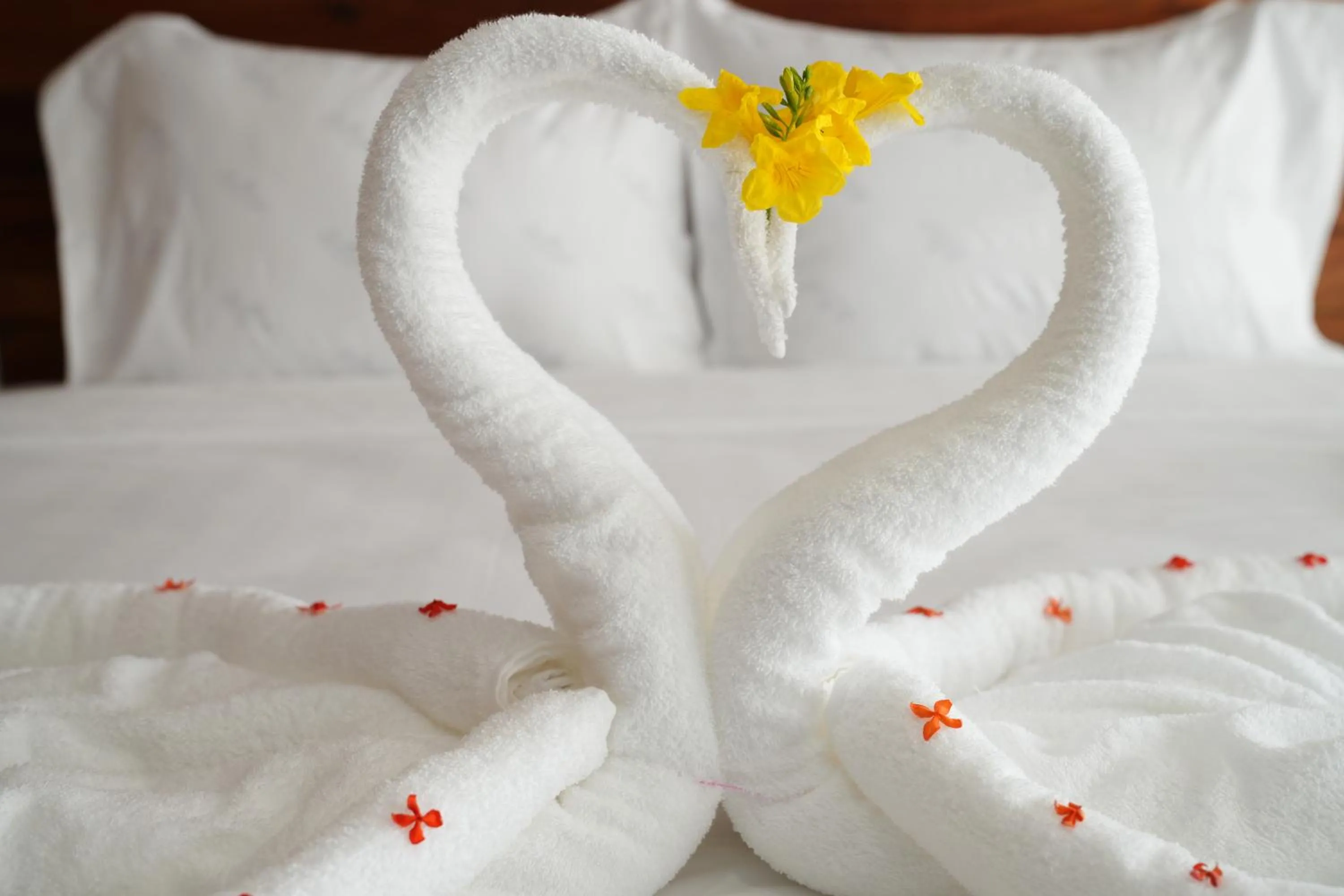 Bed in Bodega Resort