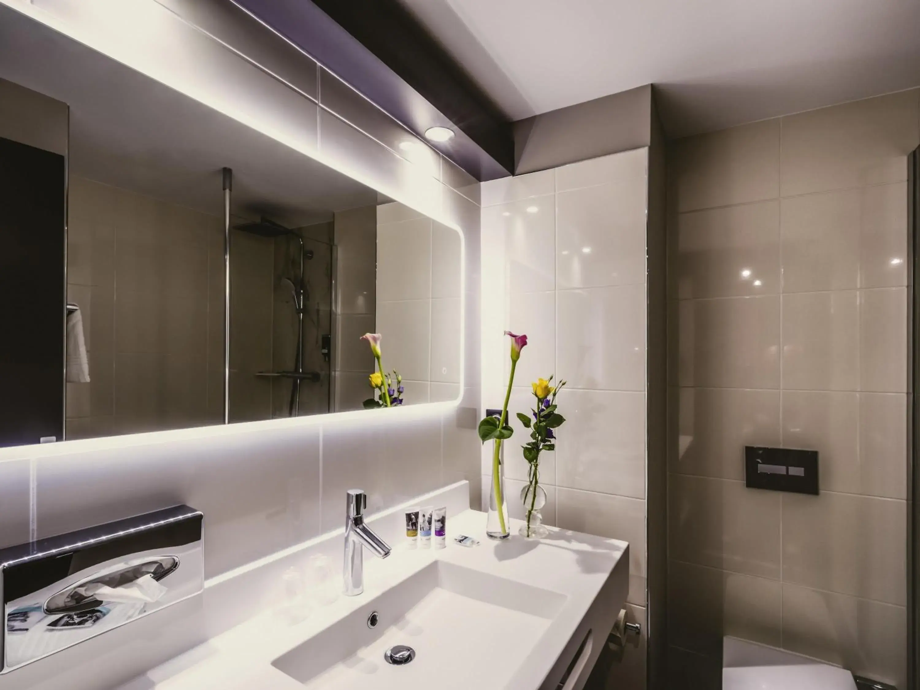 Standard Double Room in Mercure Pau Palais des Sports Standard Double Room in Mercure Pau Palais des Sports