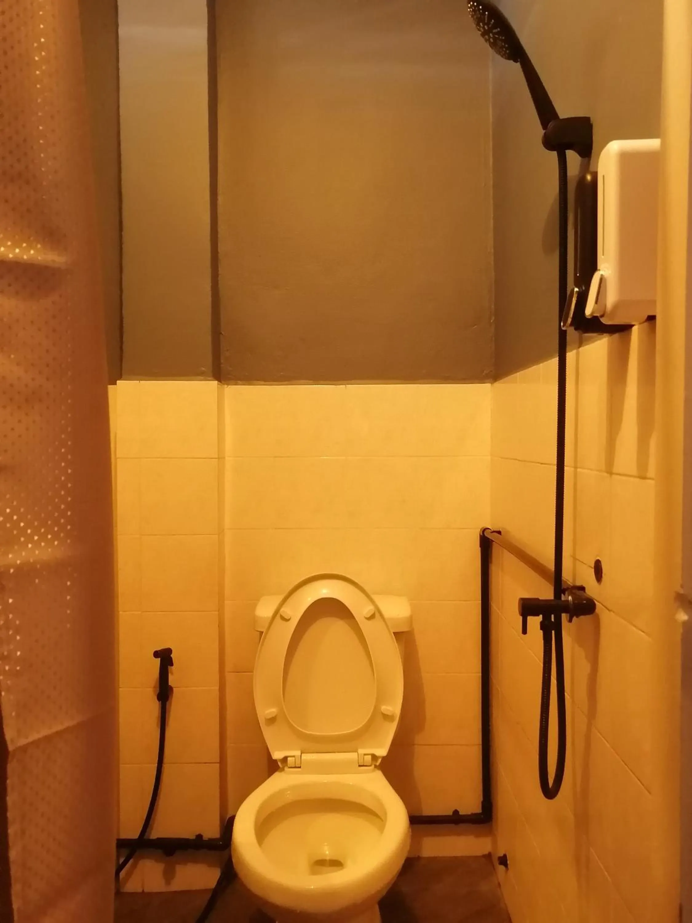 Toilet in airport house