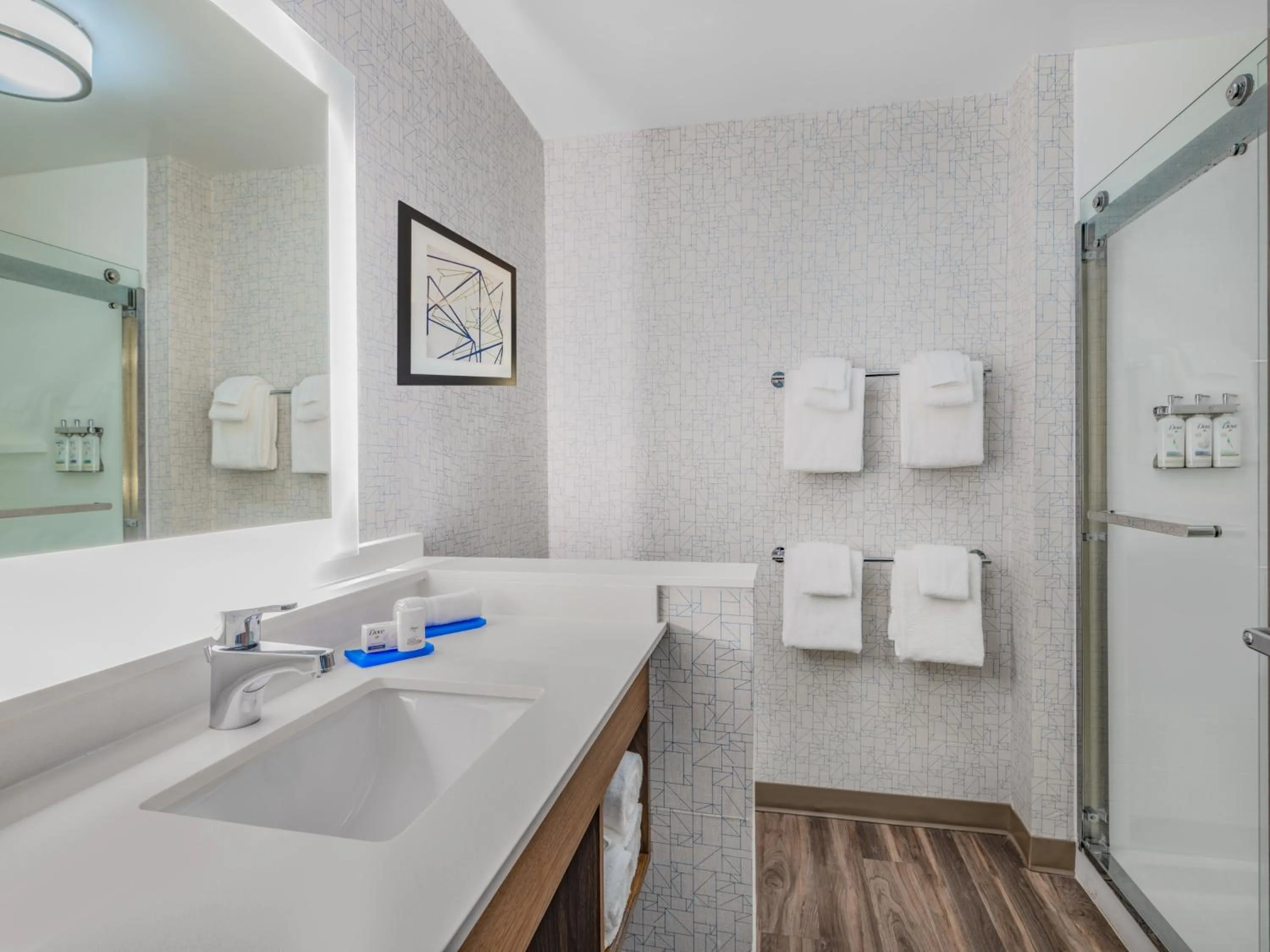 Bathroom in Holiday Inn Express & Suites - Ruskin by IHG