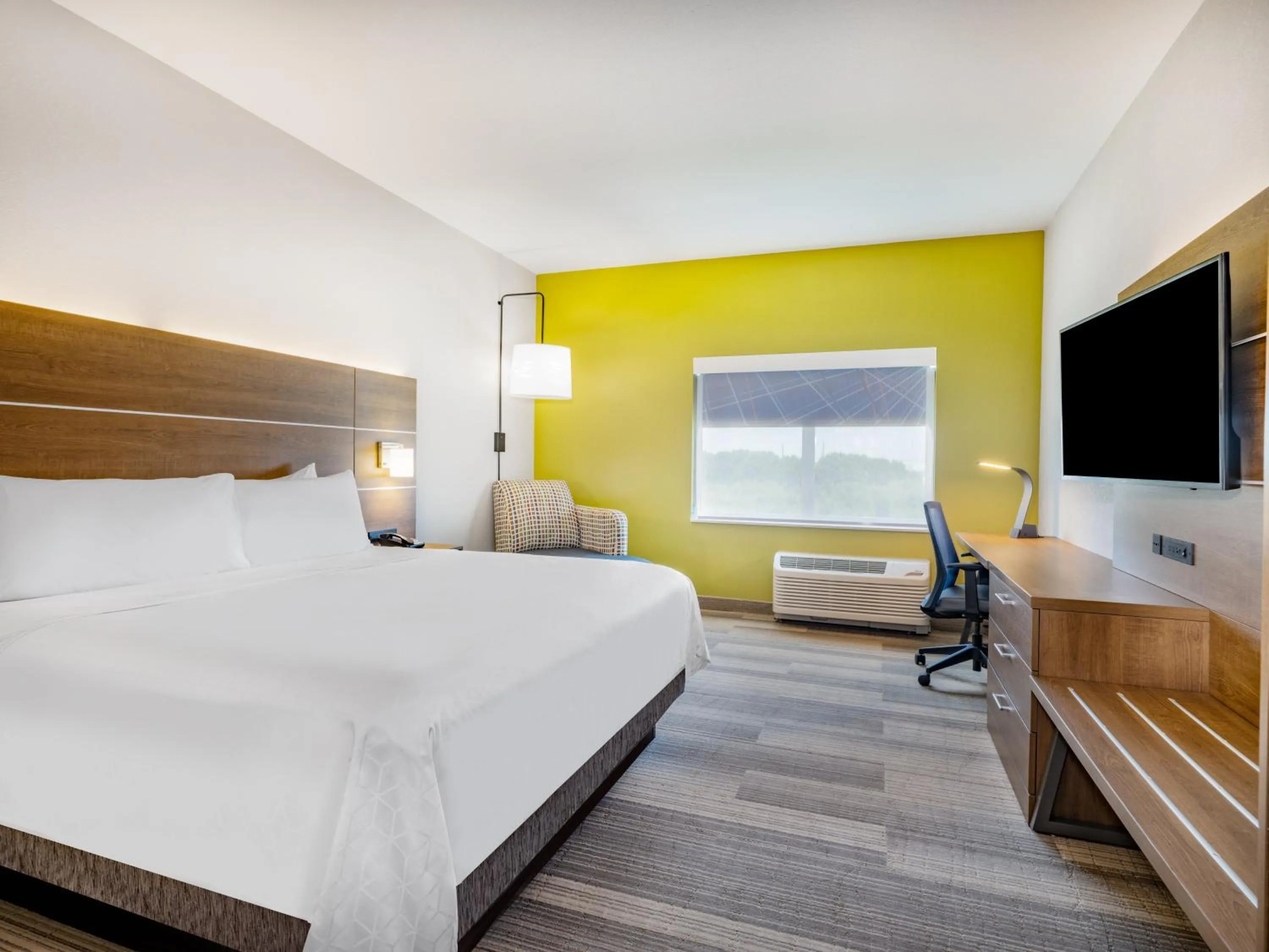 Photo of the whole room, Bed in Holiday Inn Express & Suites - Ruskin by IHG