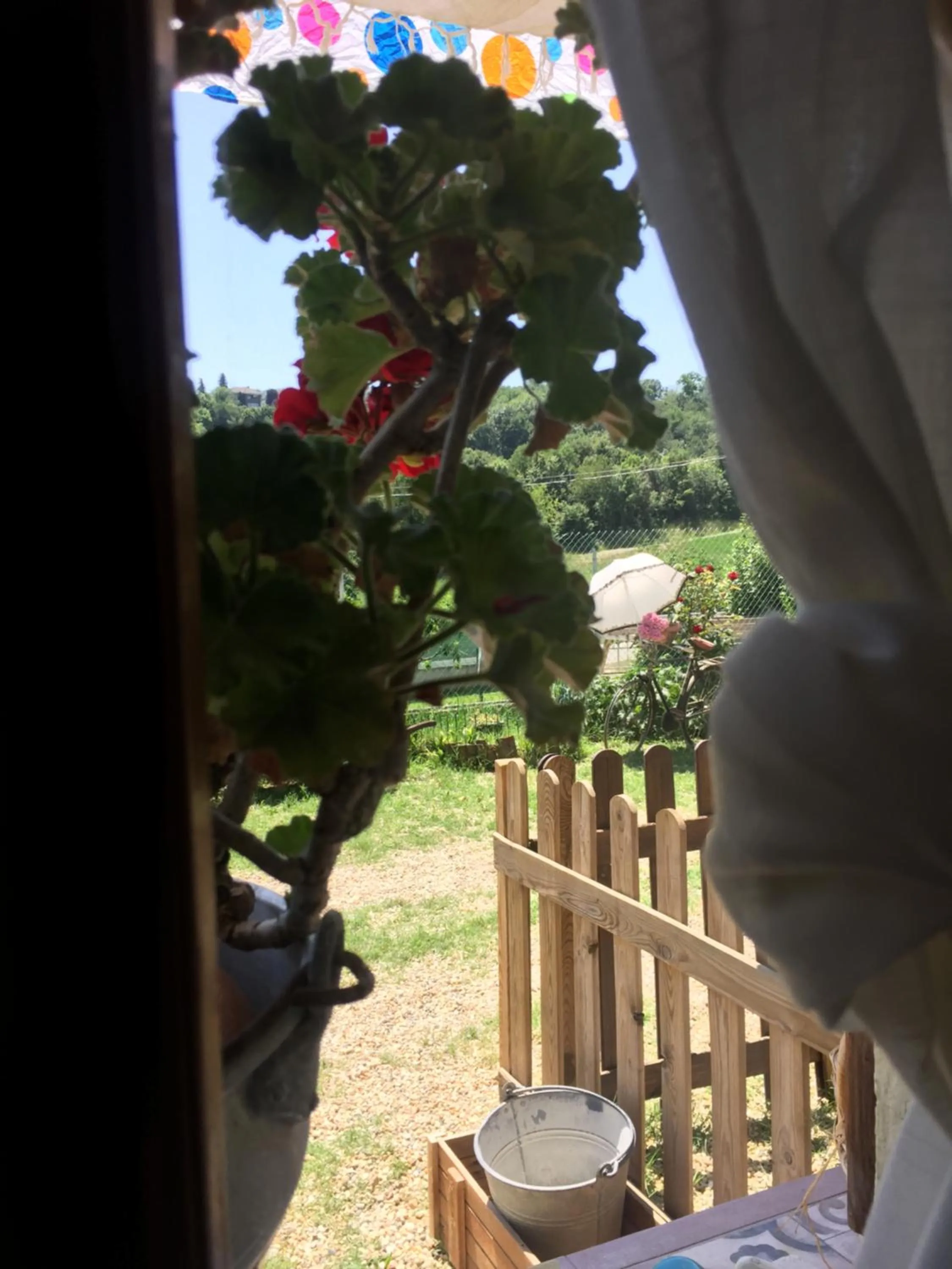 Garden in Oca Carolina