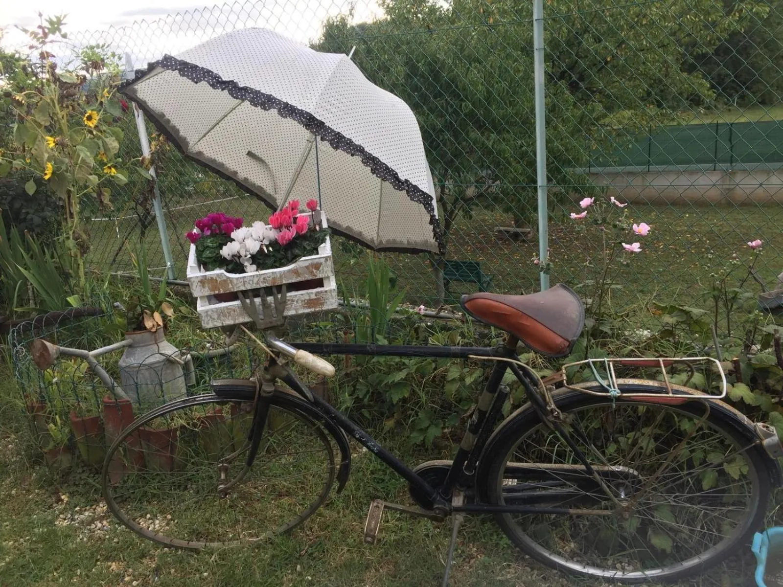 Garden in Oca Carolina