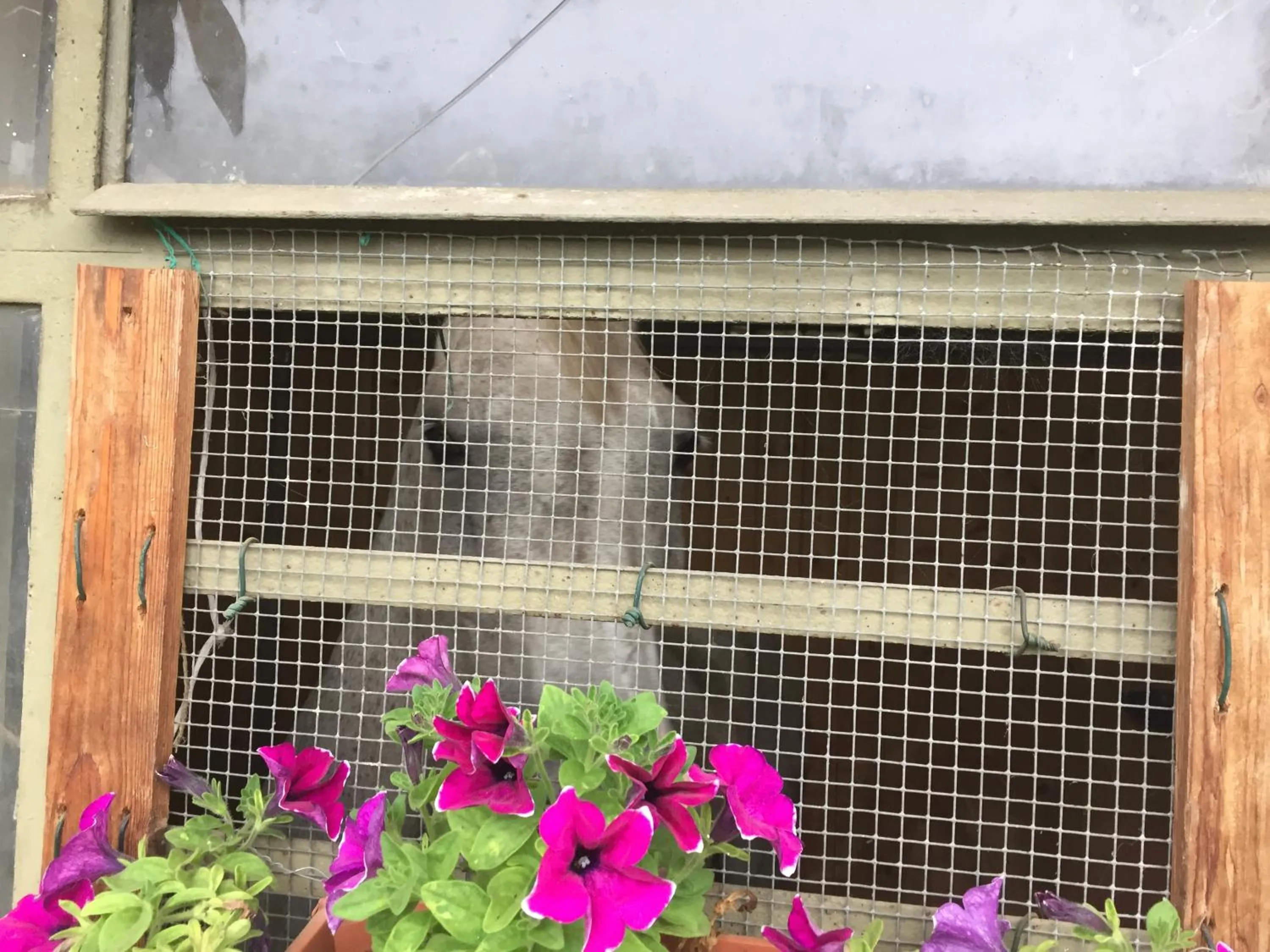 Horse-riding in Oca Carolina