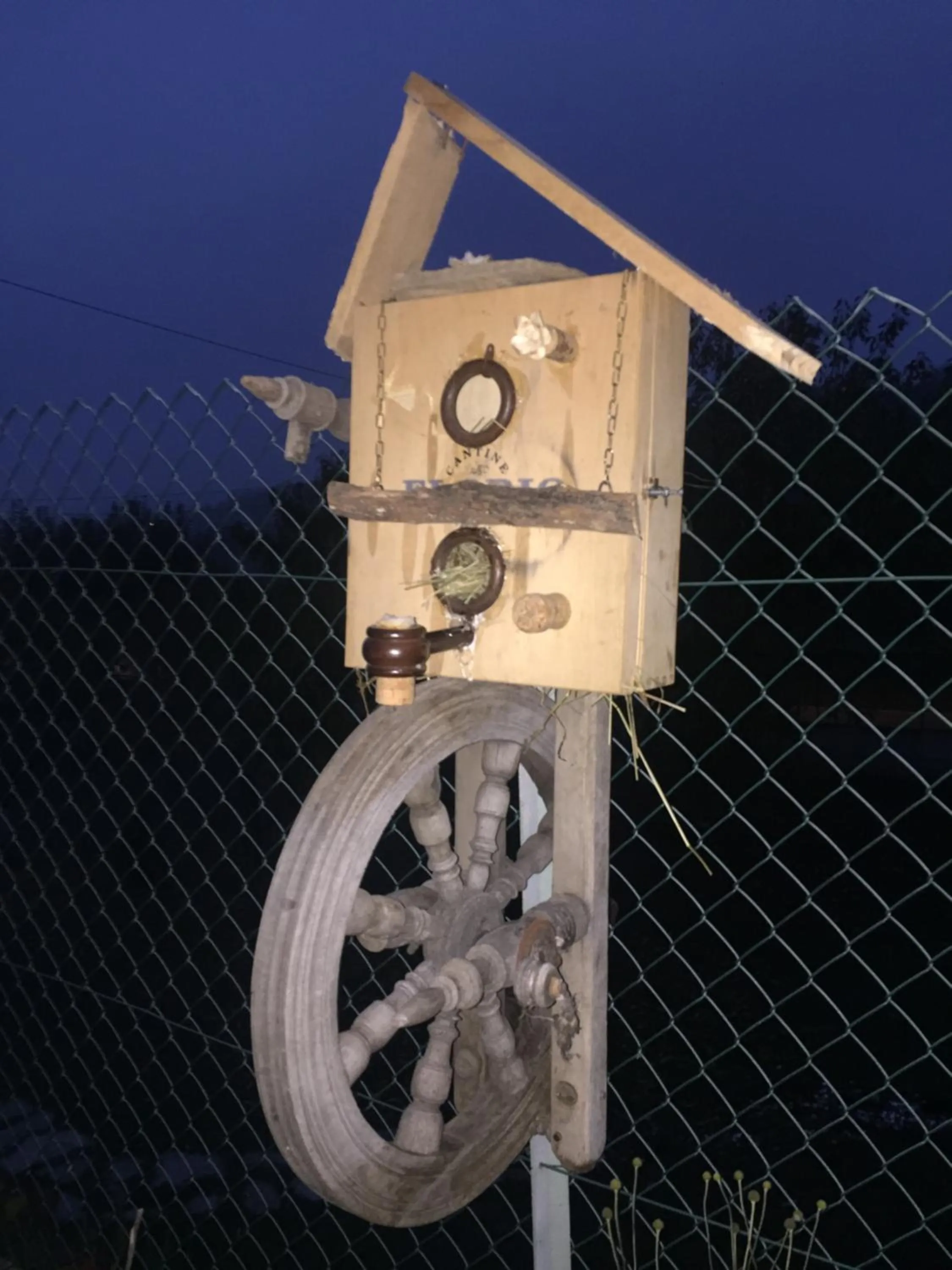 Other in Oca Carolina