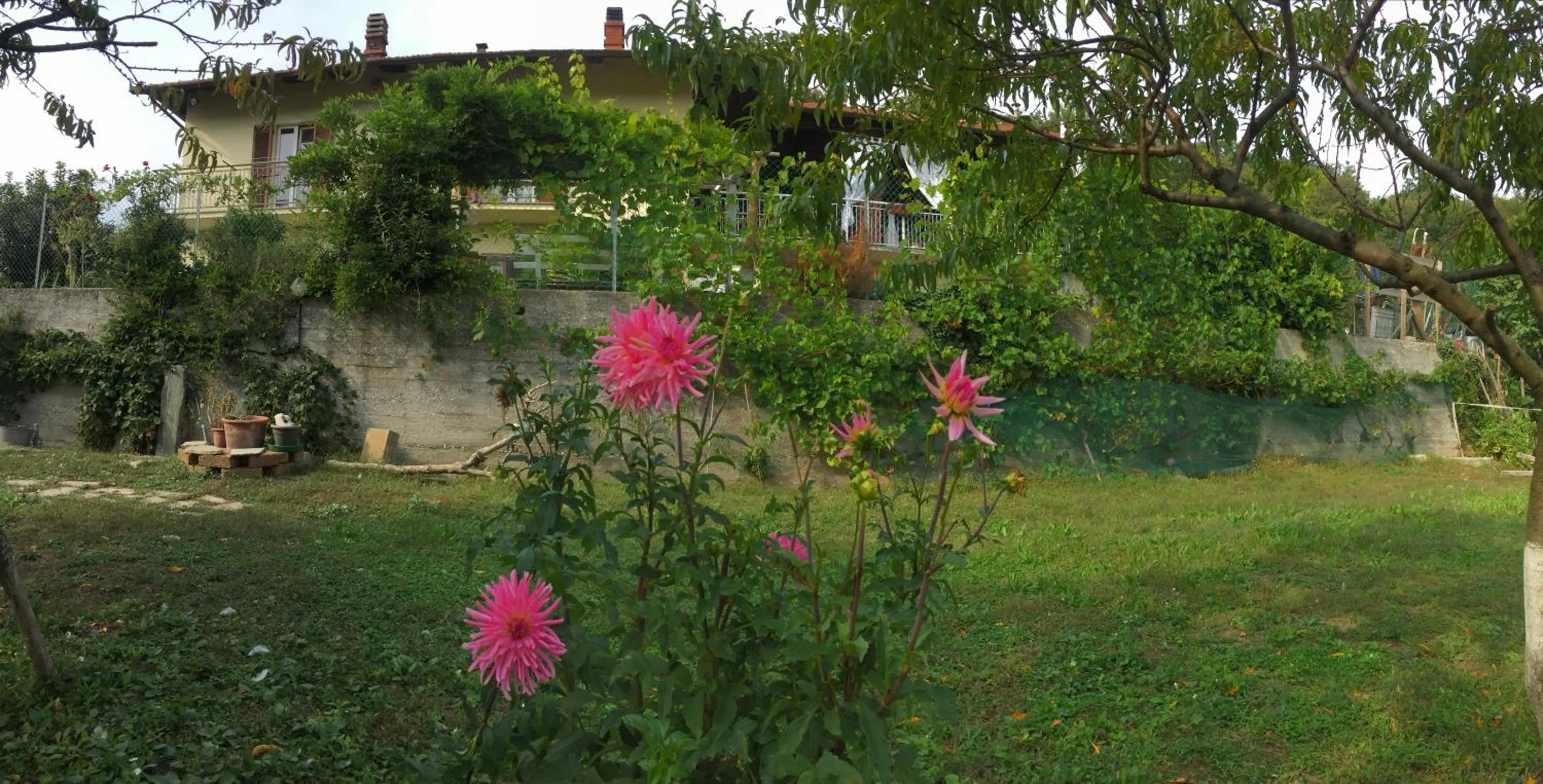 Property building in Oca Carolina