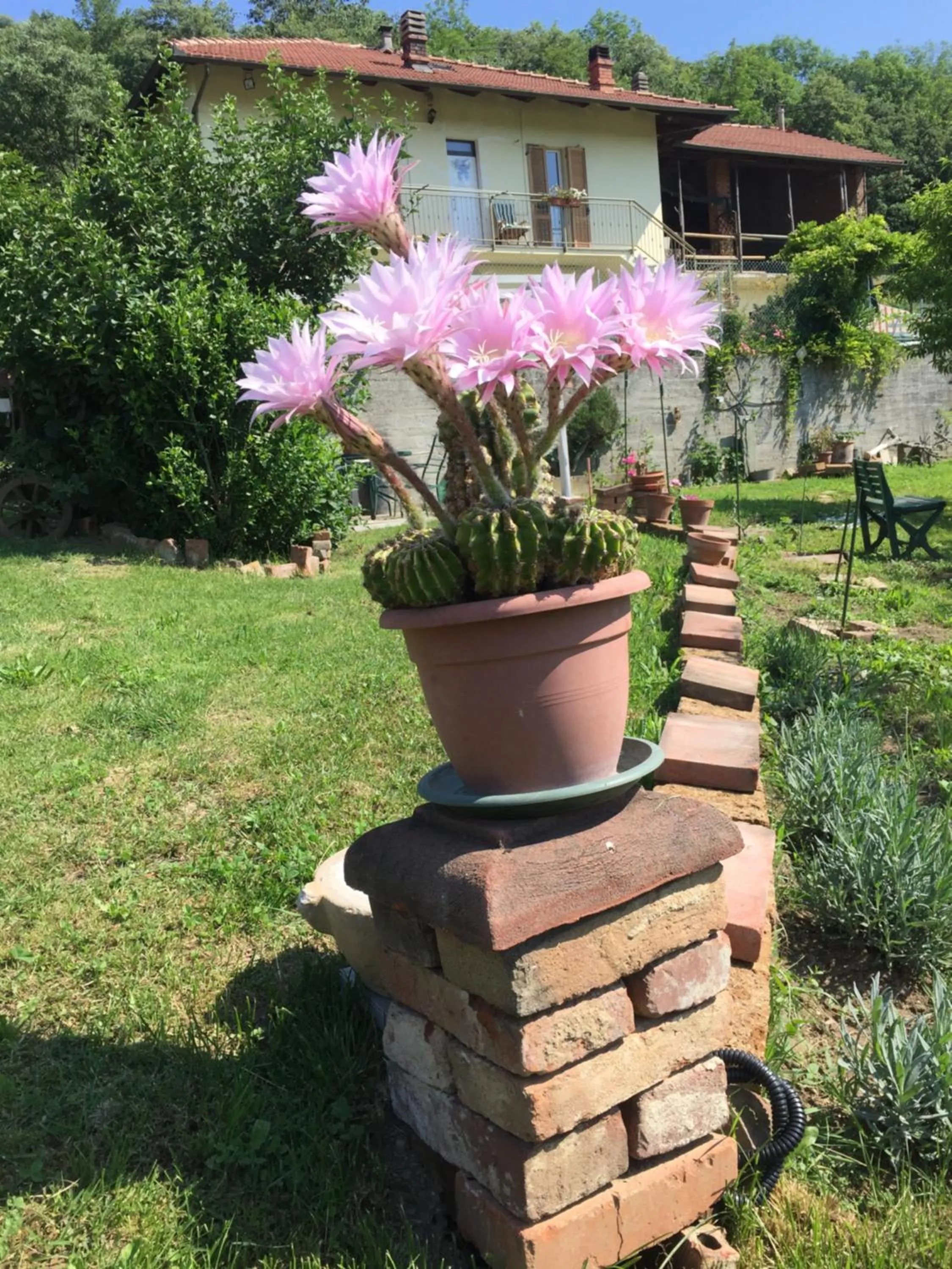 Property building in Oca Carolina