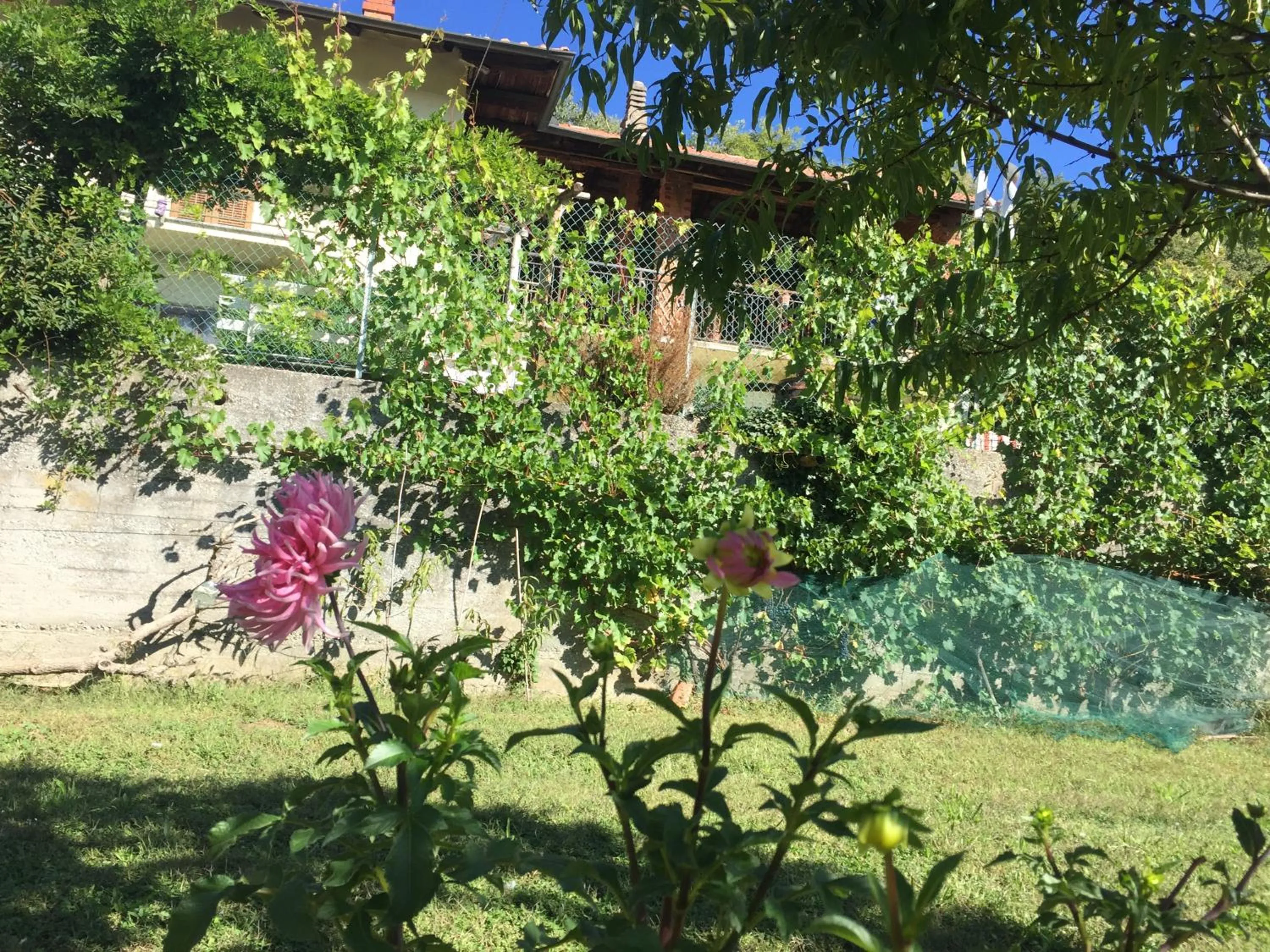 Natural landscape in Oca Carolina