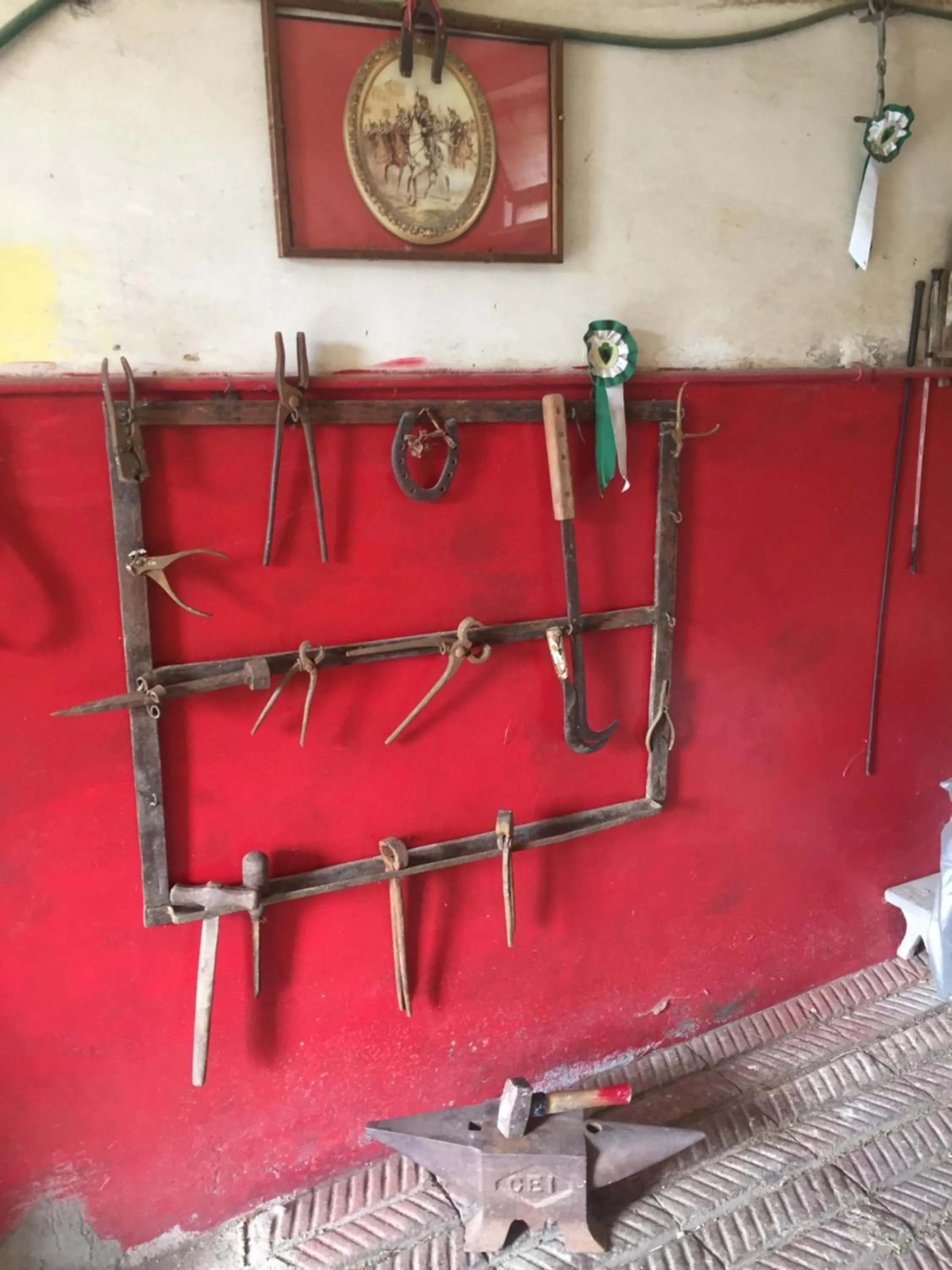 Activities in Oca Carolina