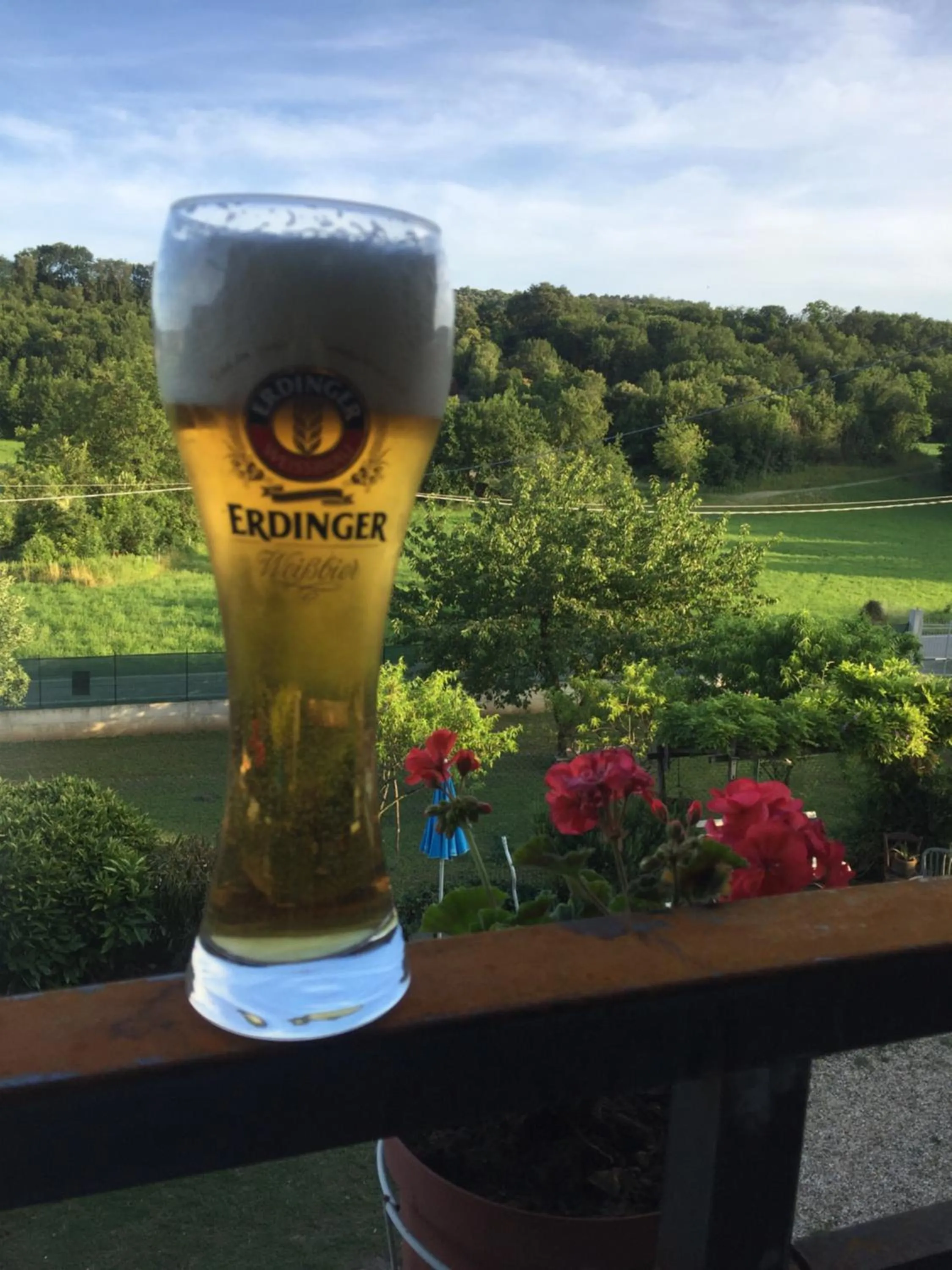 Garden view in Oca Carolina