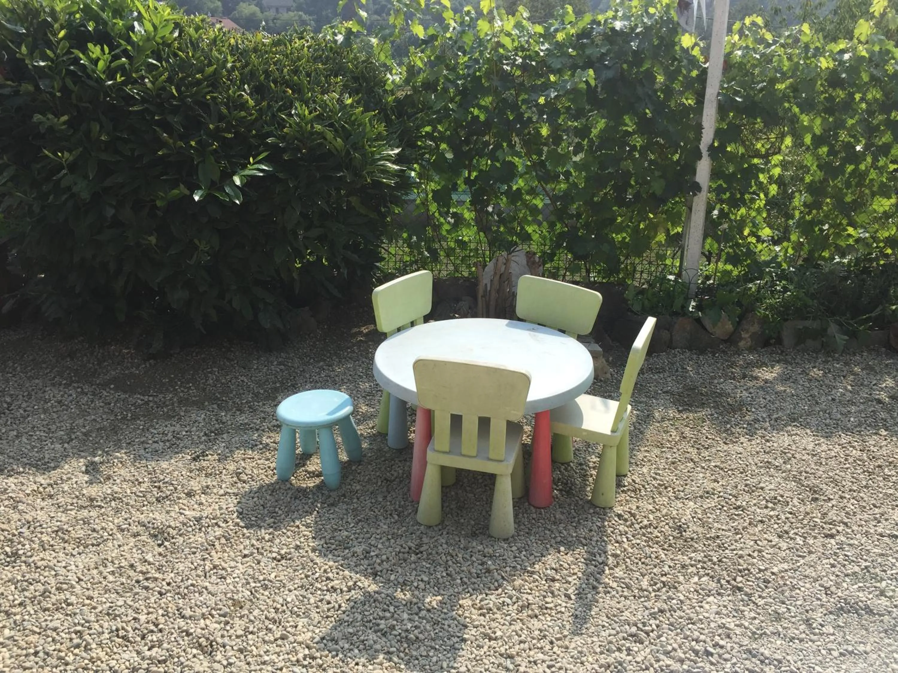 Garden in Oca Carolina