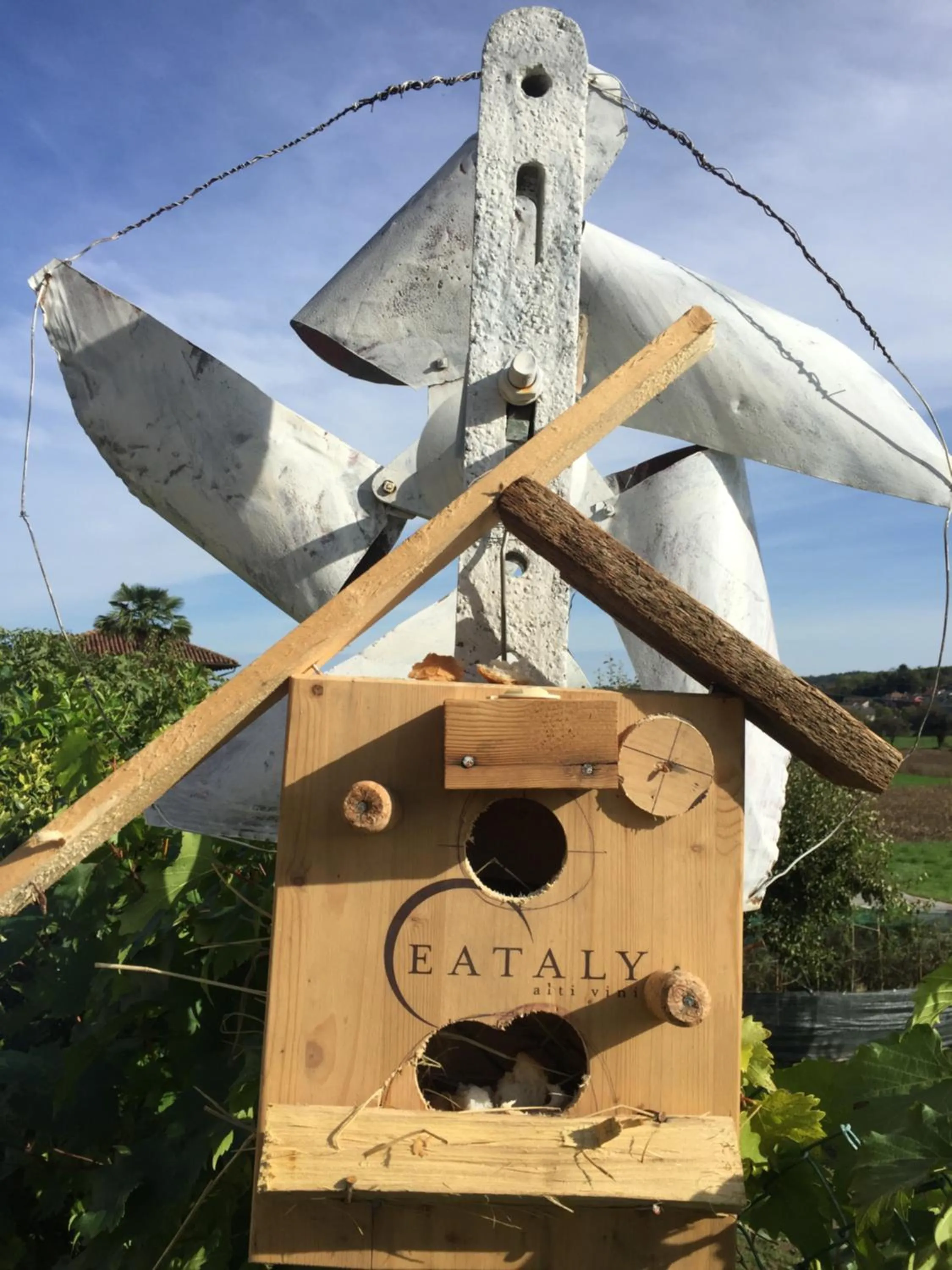 Other in Oca Carolina