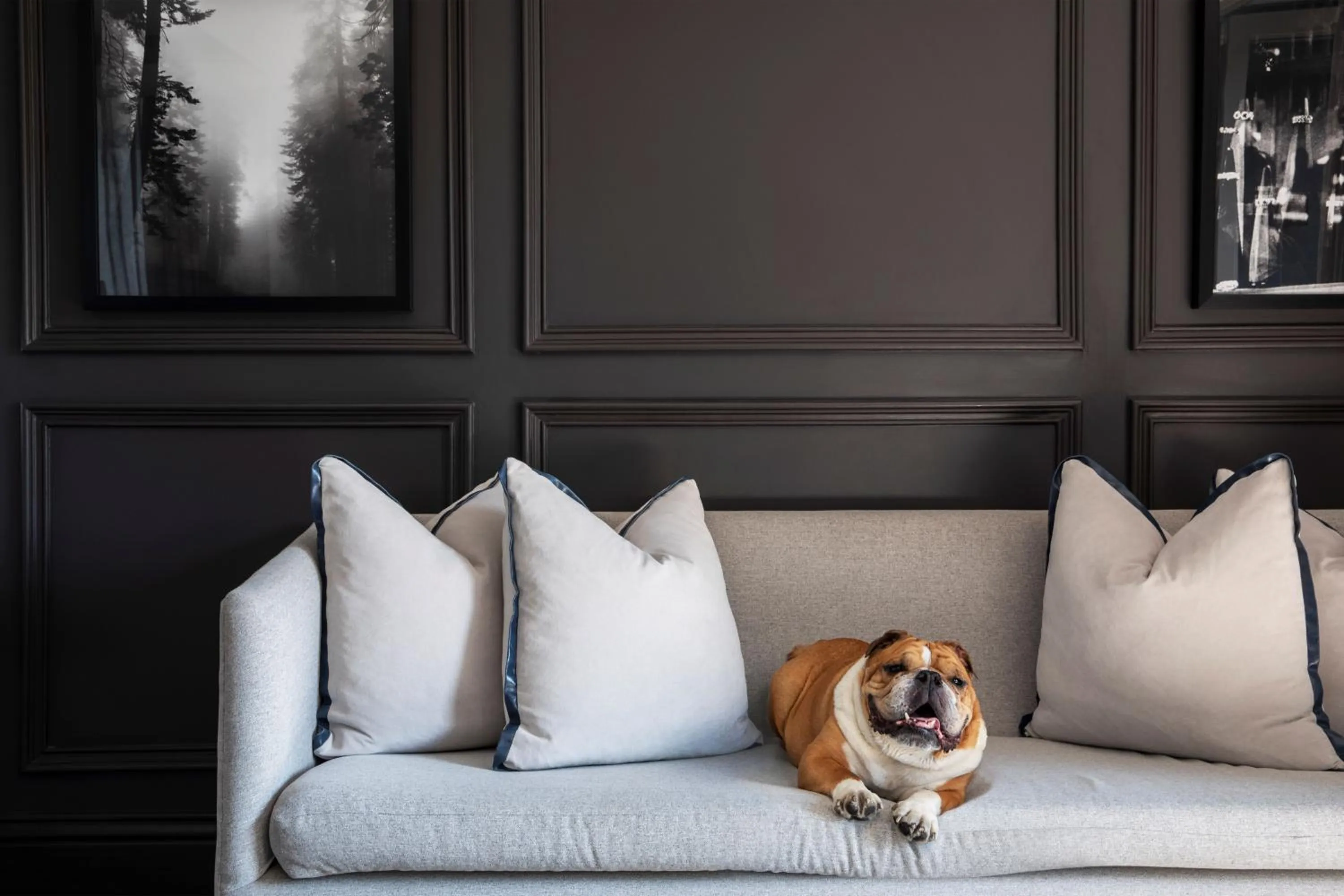 pet friendly in Seven Villa Hotel & Spa