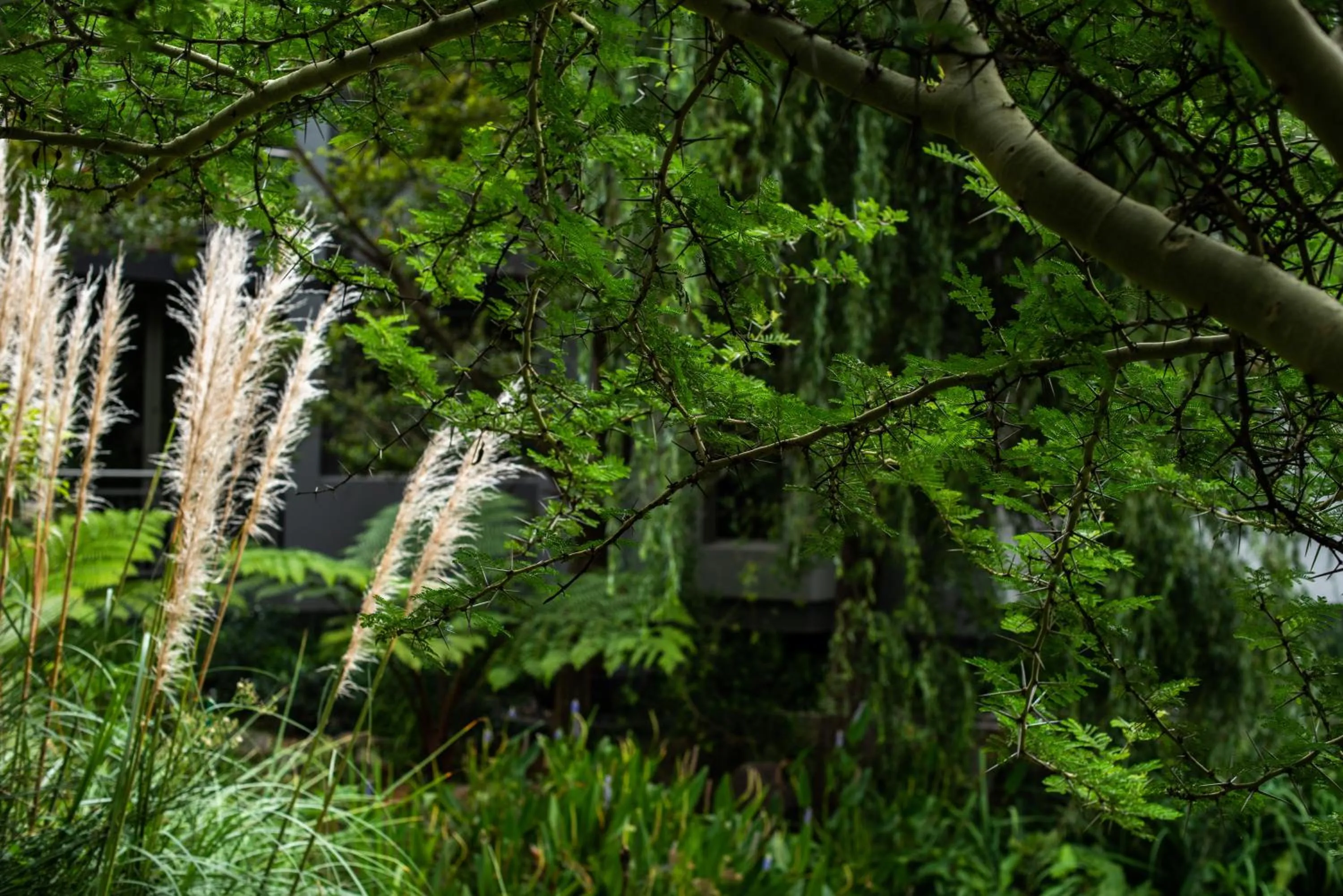 Garden in Seven Villa Hotel & Spa