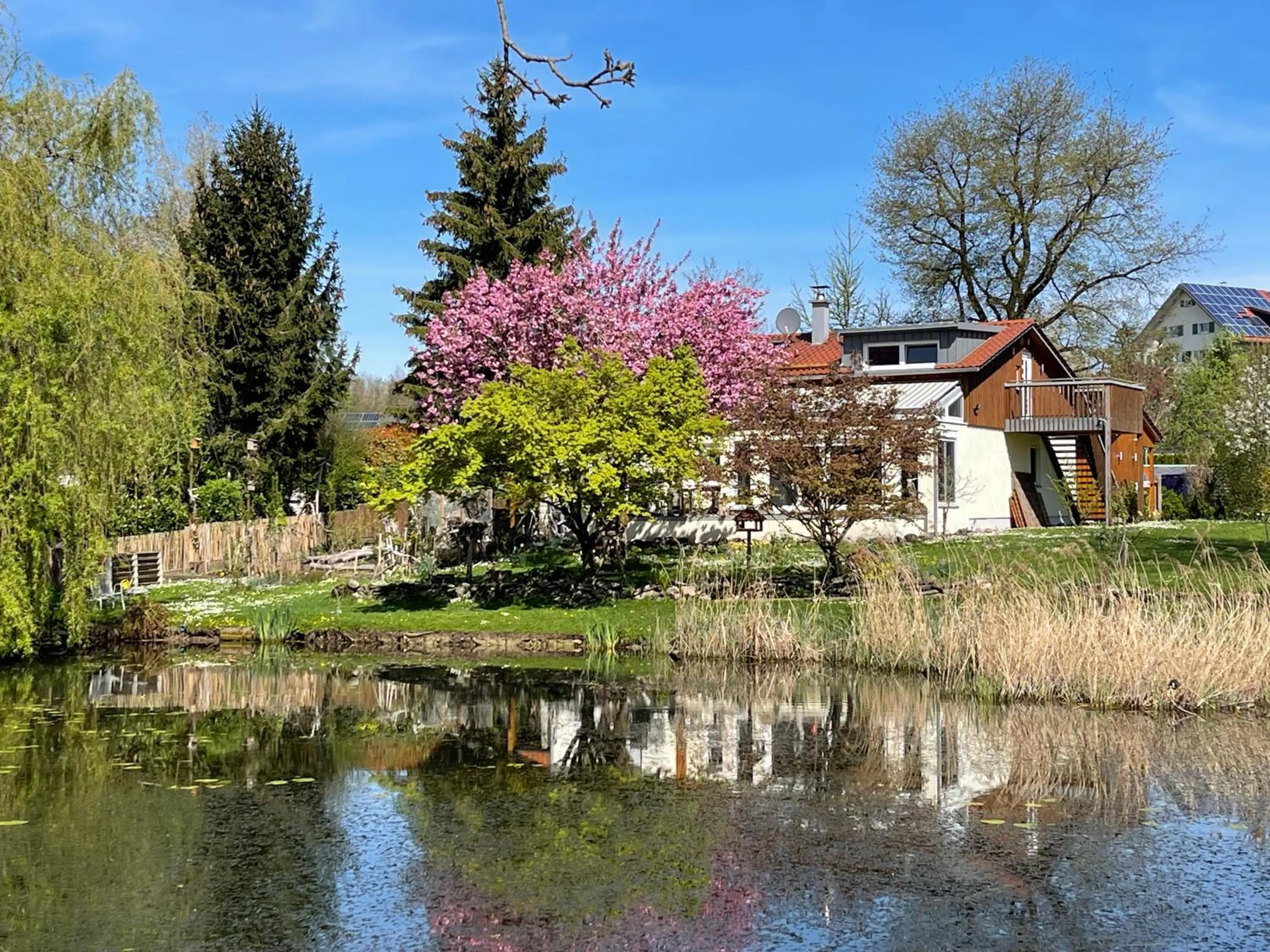 Ferienwohnung Mollenberg