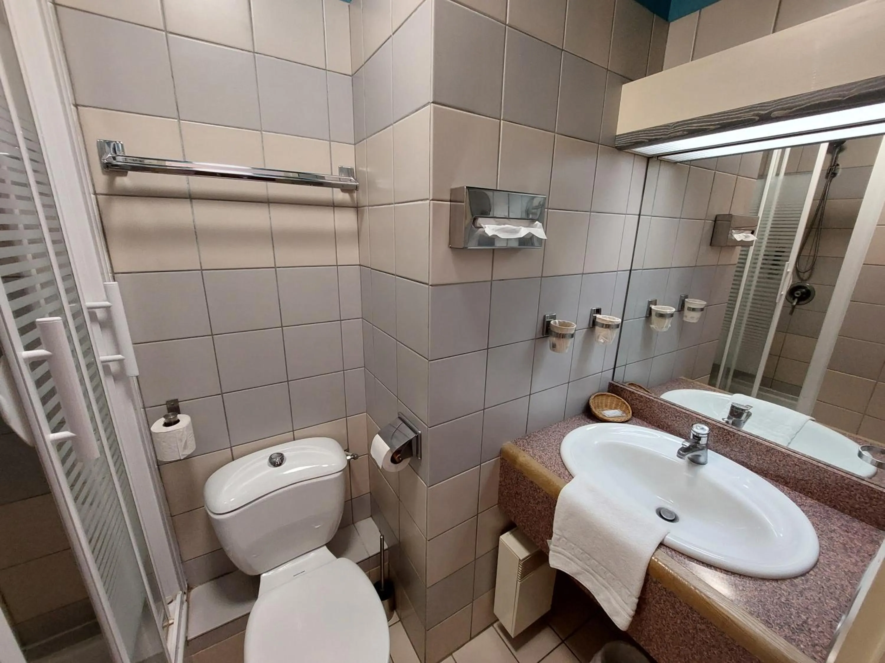 Single Room in Logis Hôtels - Hôtel et Restaurant Le Lion d'Or