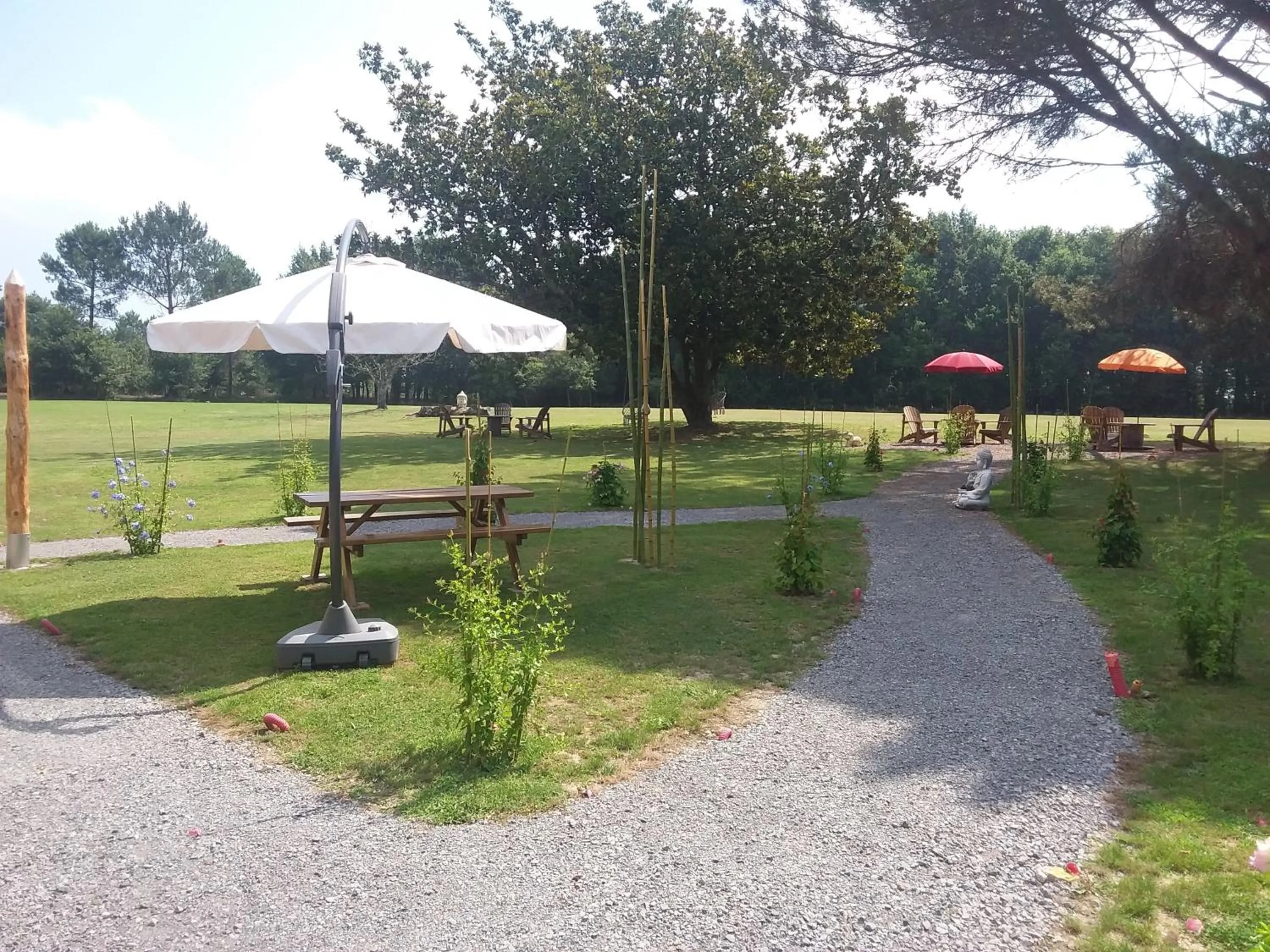 Garden in maison d'hôtes labastide
