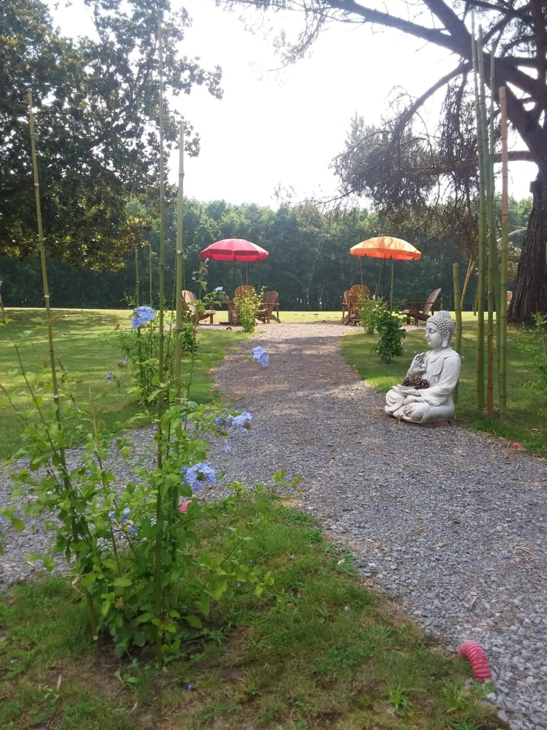 Garden in maison d'hôtes labastide
