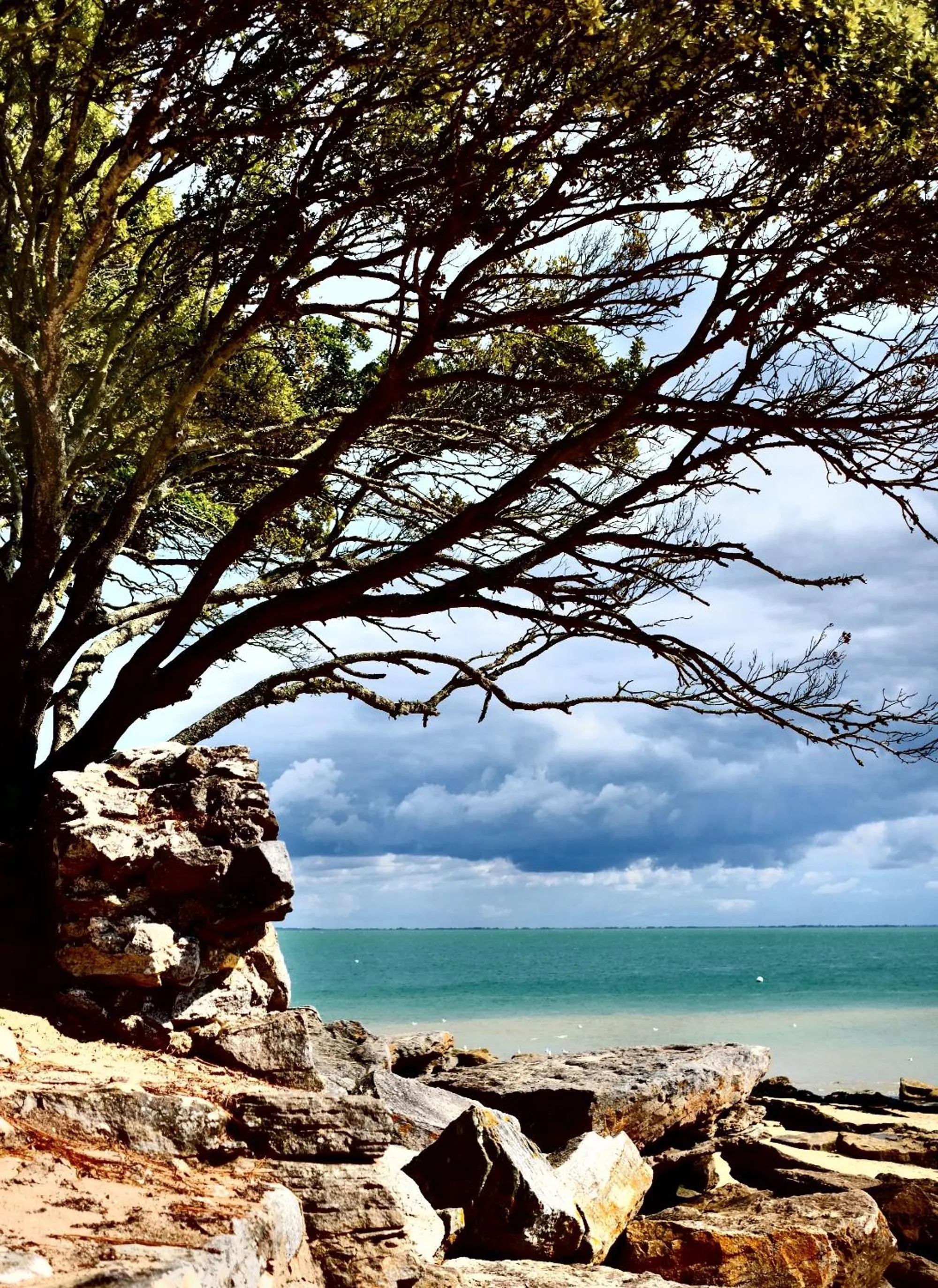La maison du sculpteur à Tiffauges proche Puy du F