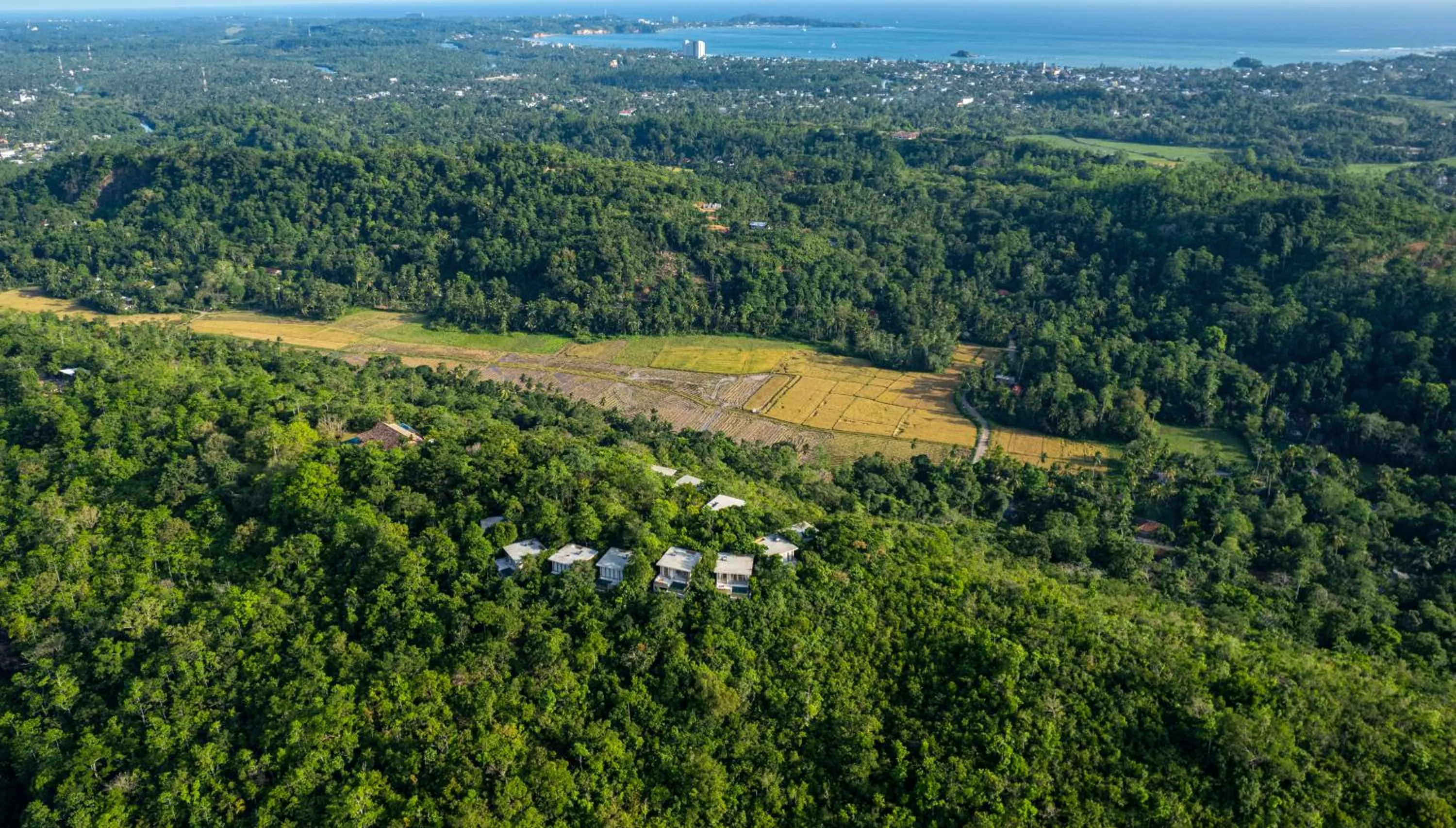 Natural landscape in Malabar Hill