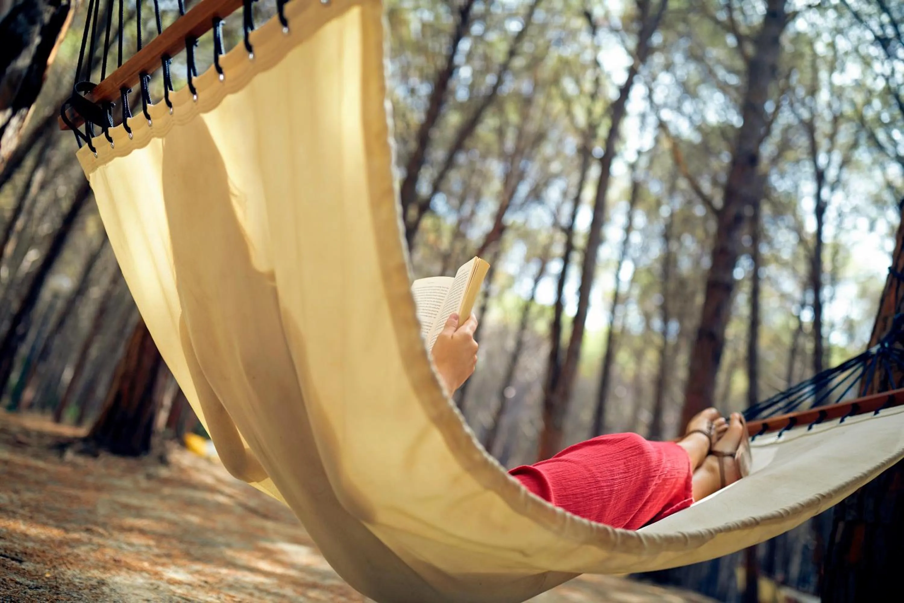 Garden in TUI MAGIC LIFE Calabria - All Inclusive