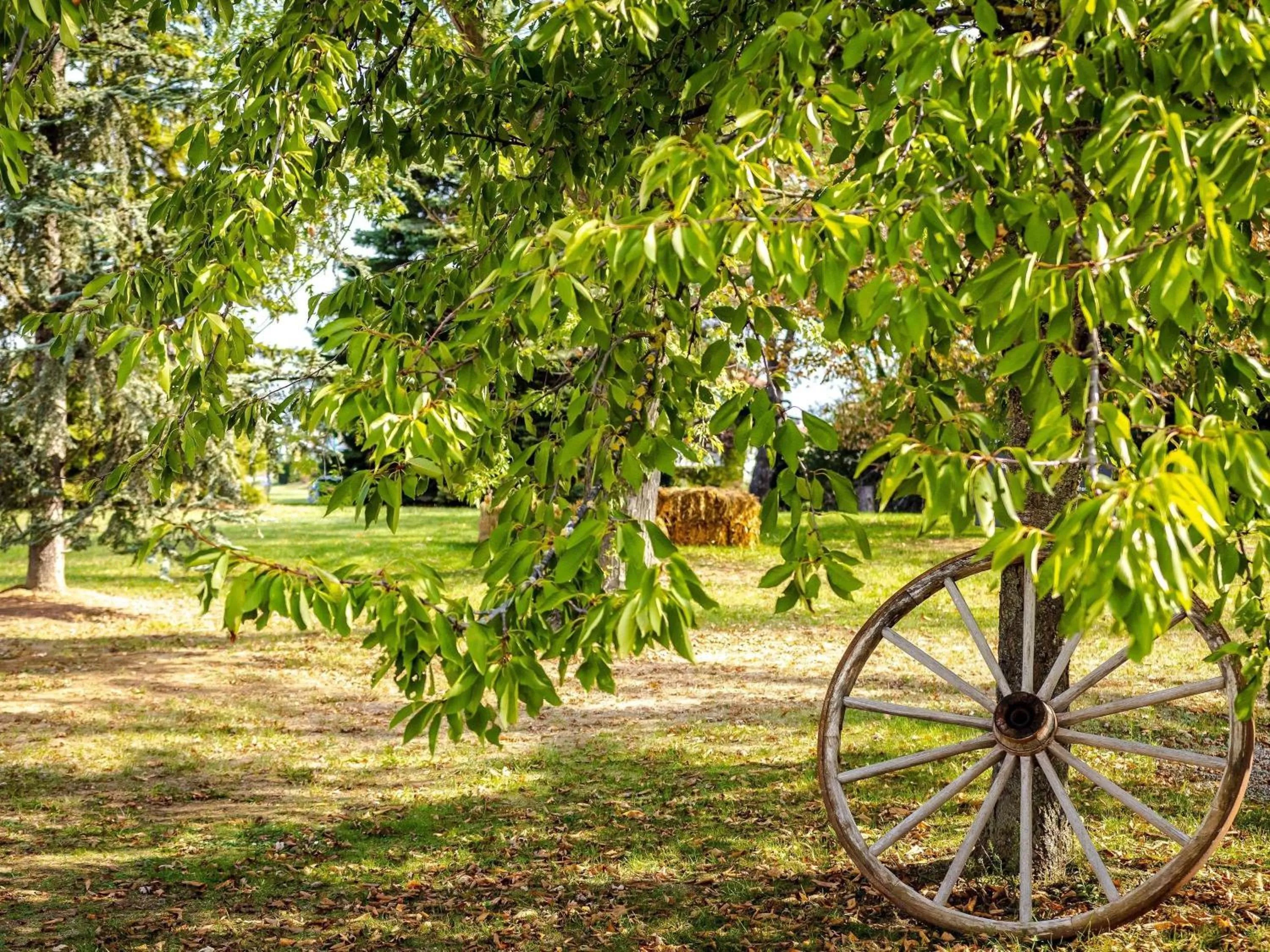 Other in Novotel Mulhouse Bâle Fribourg