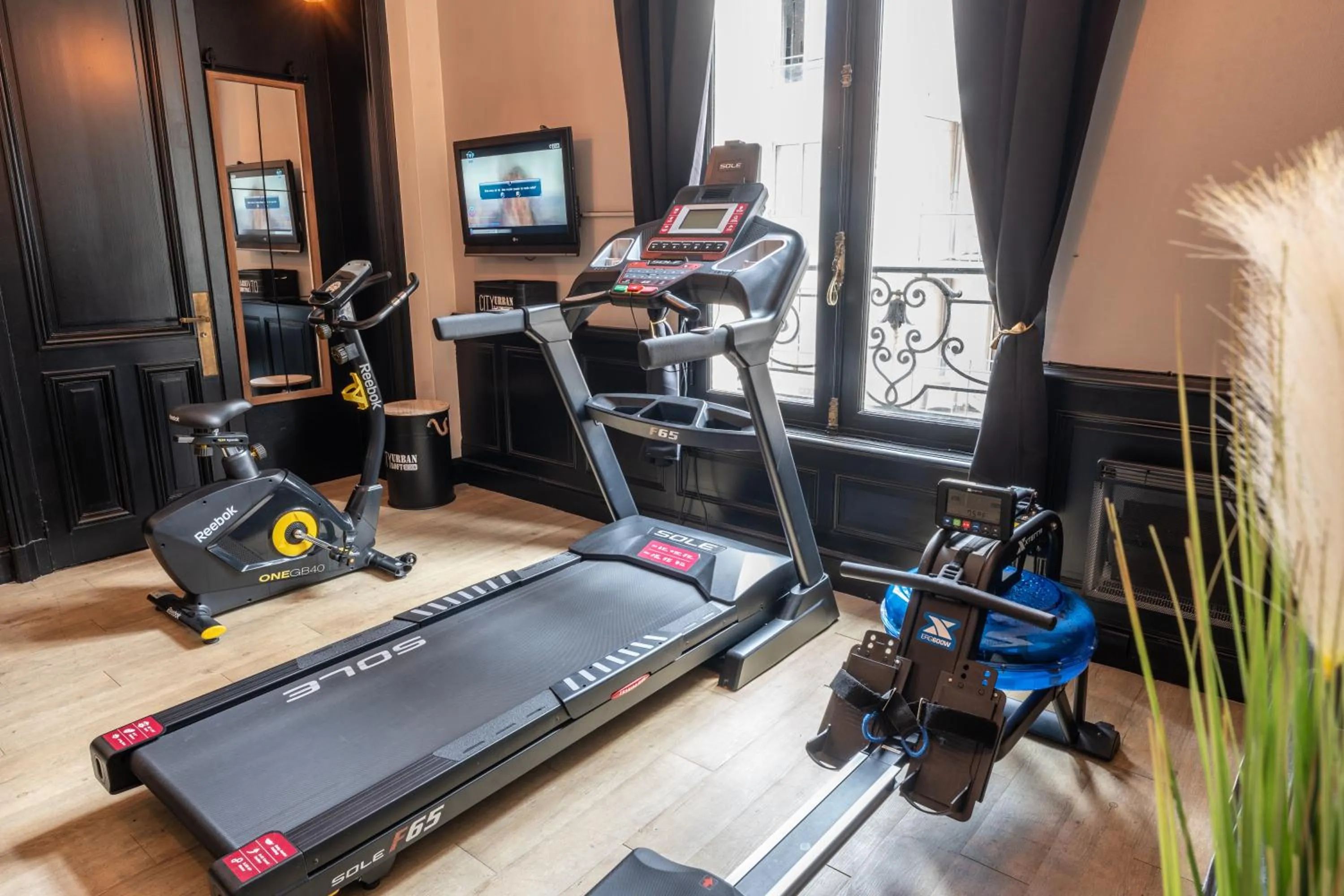 Fitness centre/facilities in Mercure Le Mans Centre