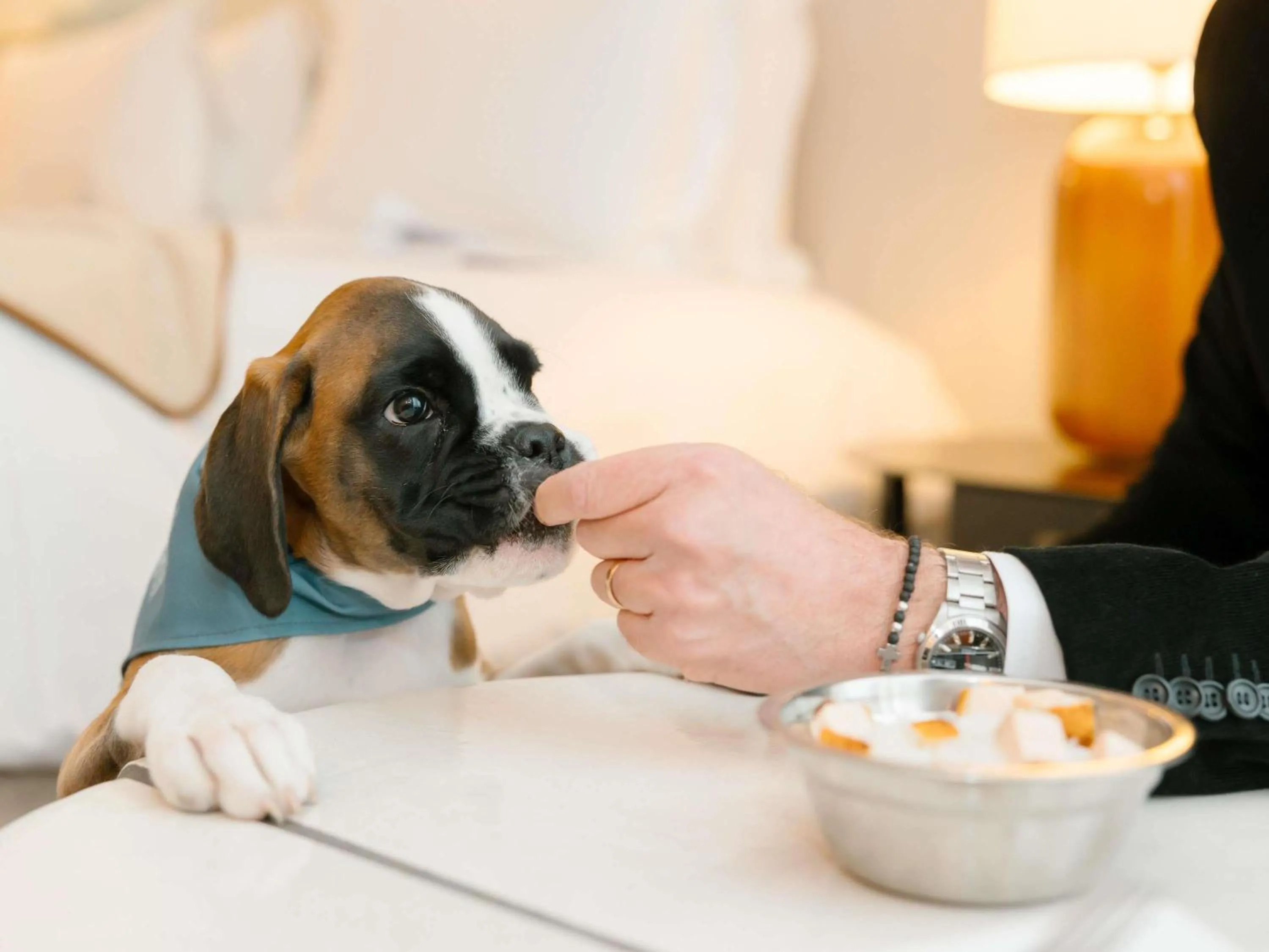 Property building in Sofitel Le Scribe Paris Opera