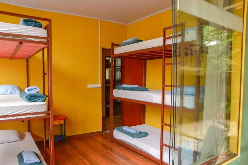 bunk bed, Bed in Hostel MPB Ilha Grande