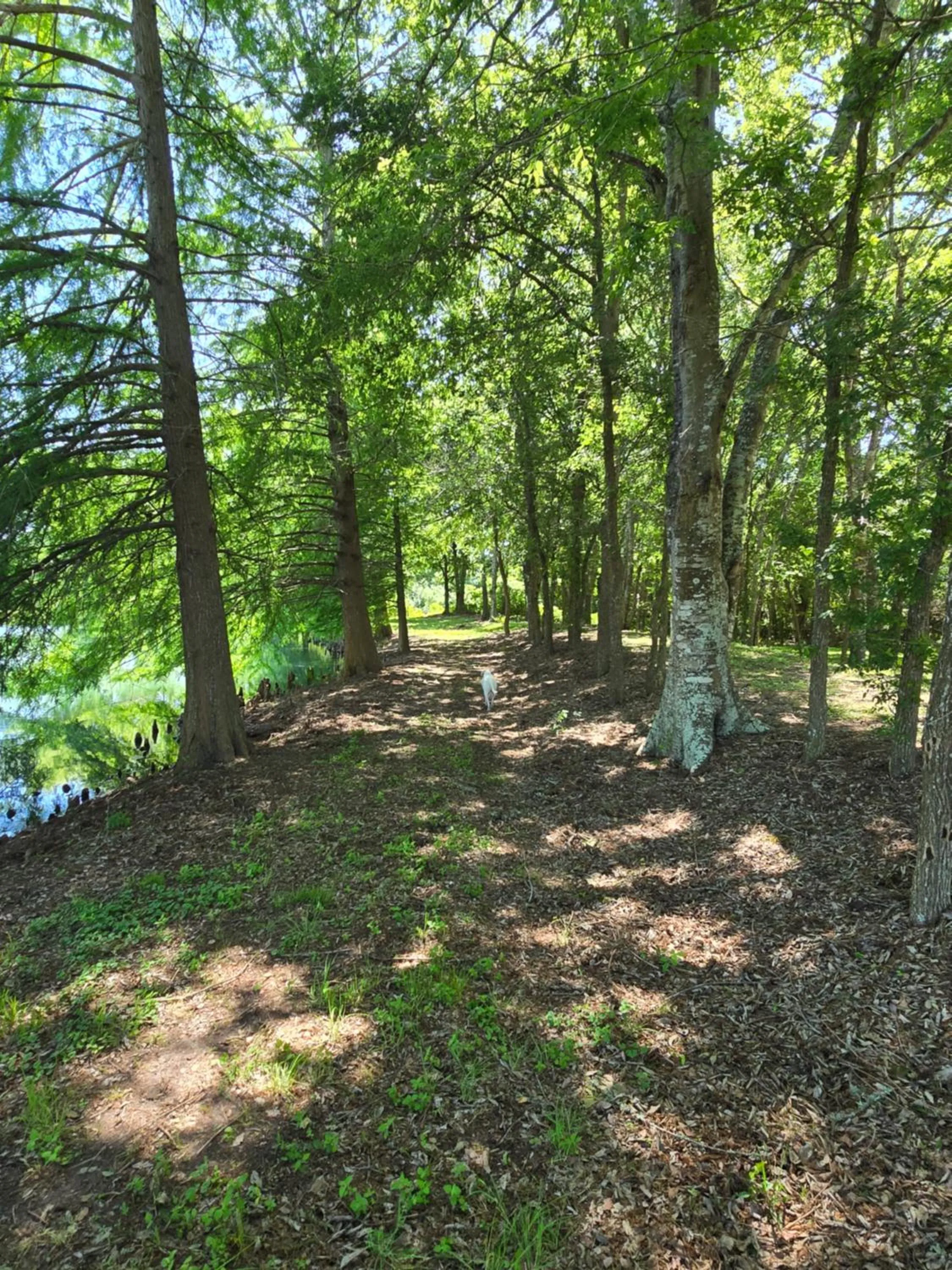 Natural landscape in Inn at Indian Creek