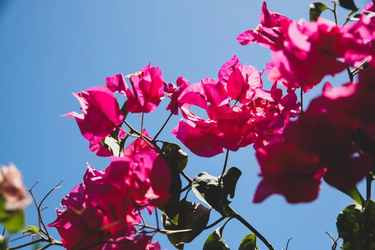 Neighbourhood in Numero Uno Beach Apartments