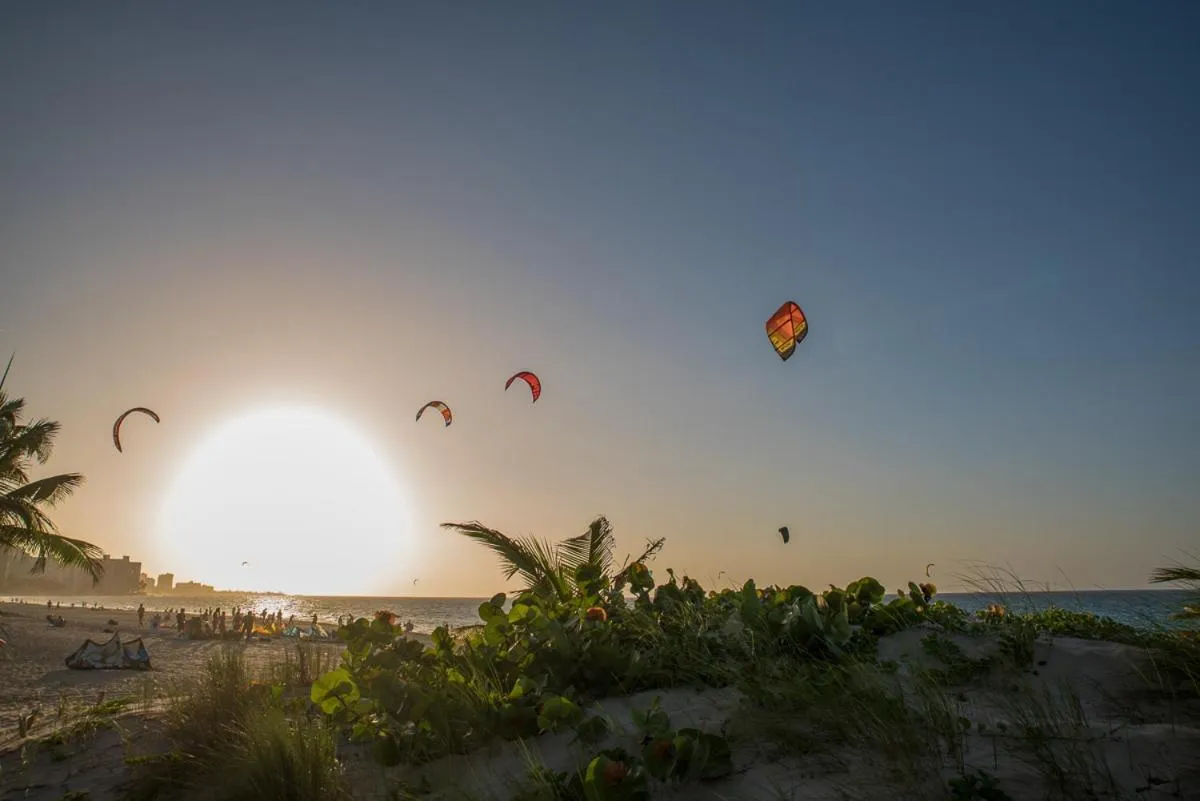 Natural landscape in Numero Uno Beach Apartments