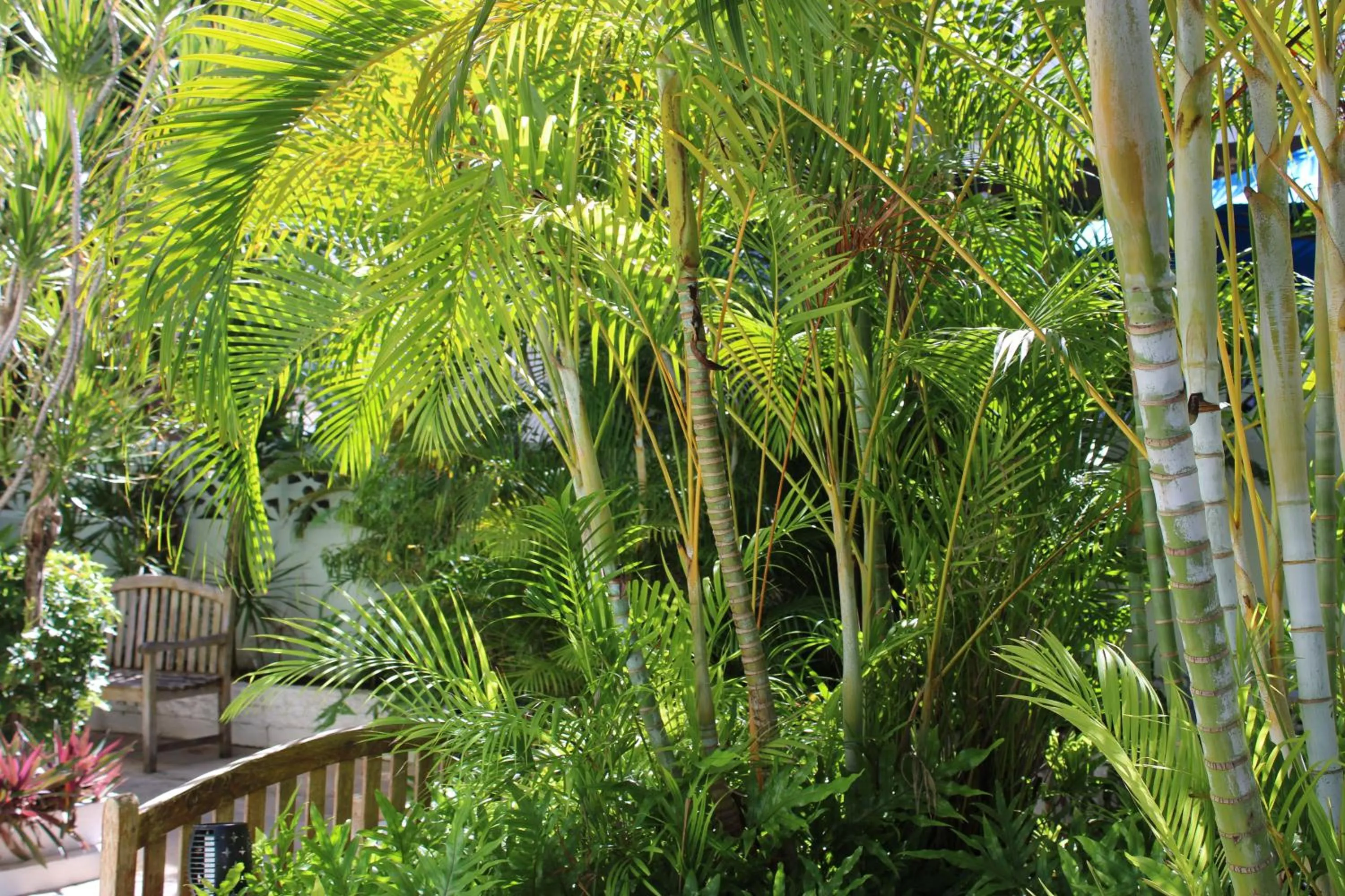 Garden in Numero Uno Beach Apartments